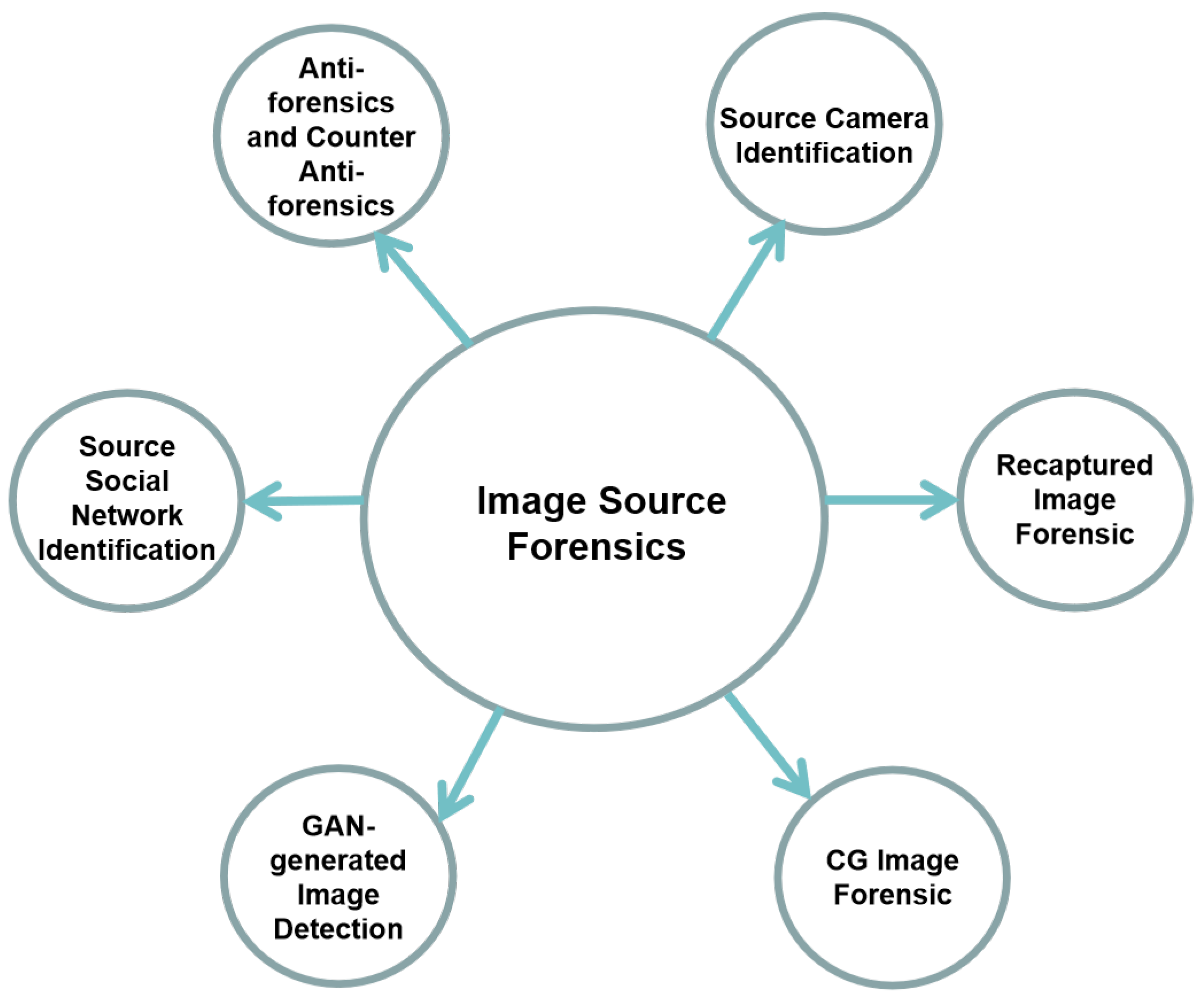 Jimaging 06 00009 g001