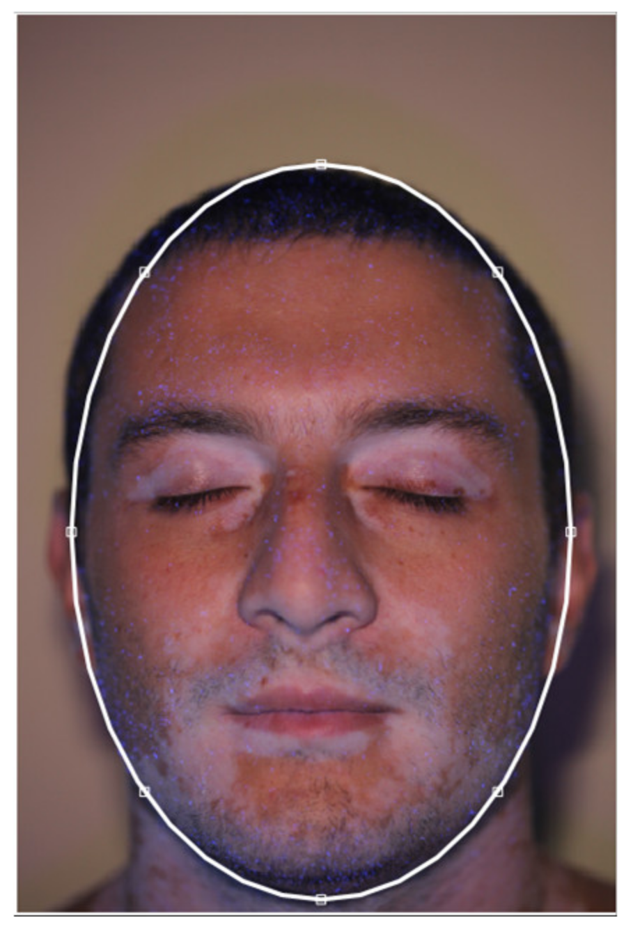 Jimaging 06 00014 g002