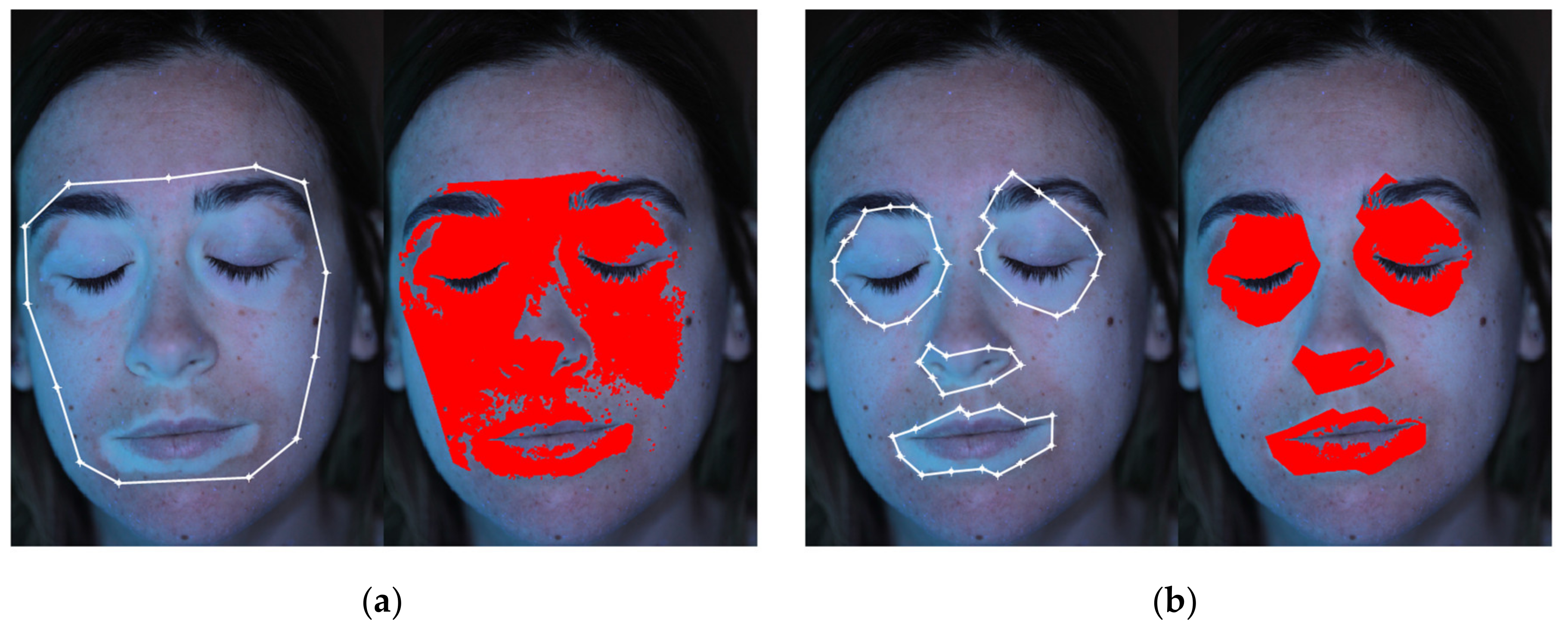 Jimaging 06 00014 g003