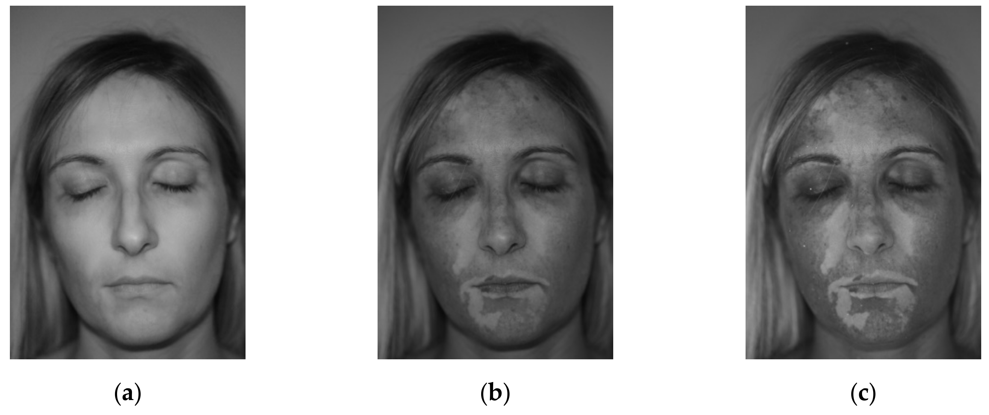 Jimaging 06 00014 g004