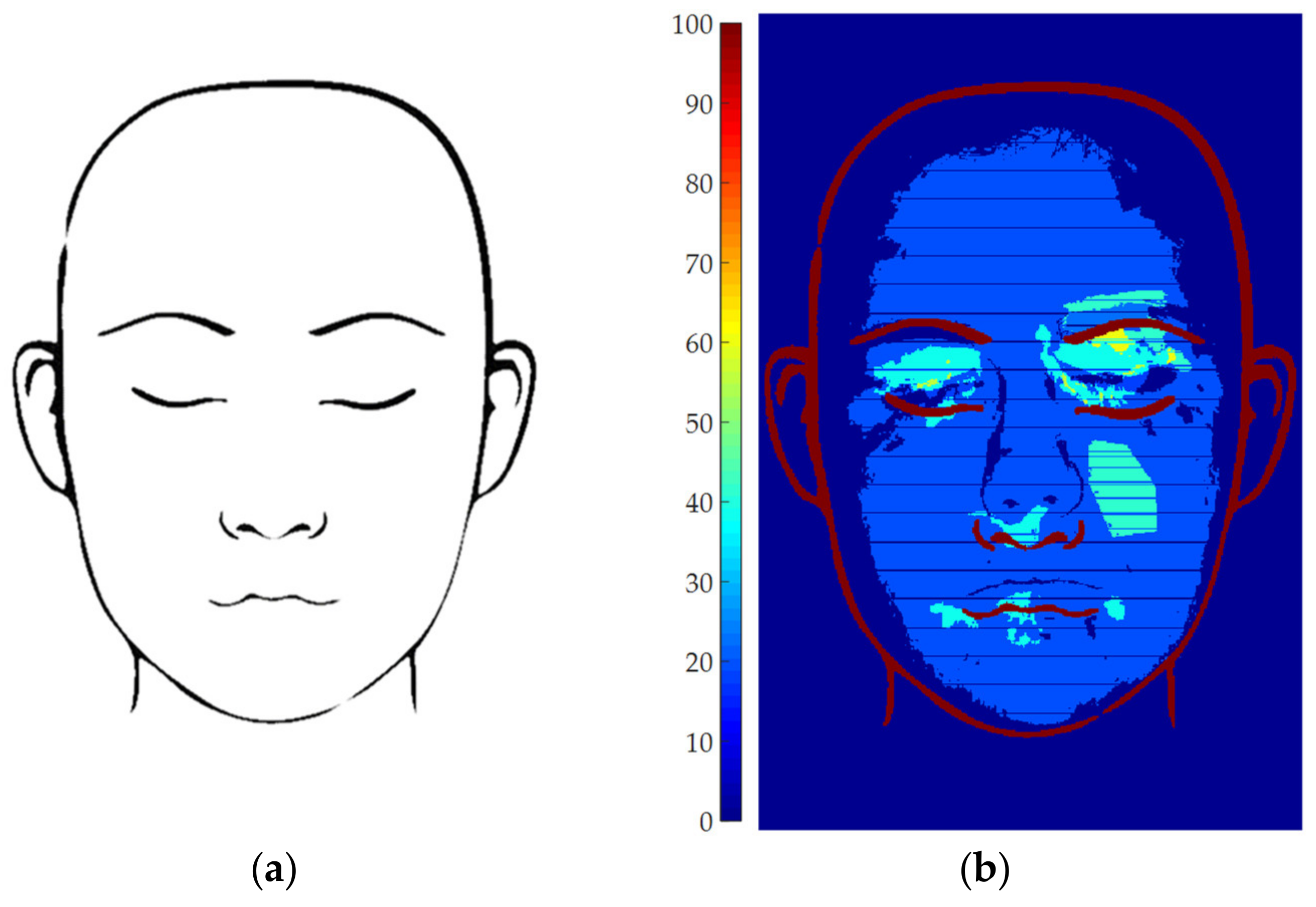 Jimaging 06 00014 g006