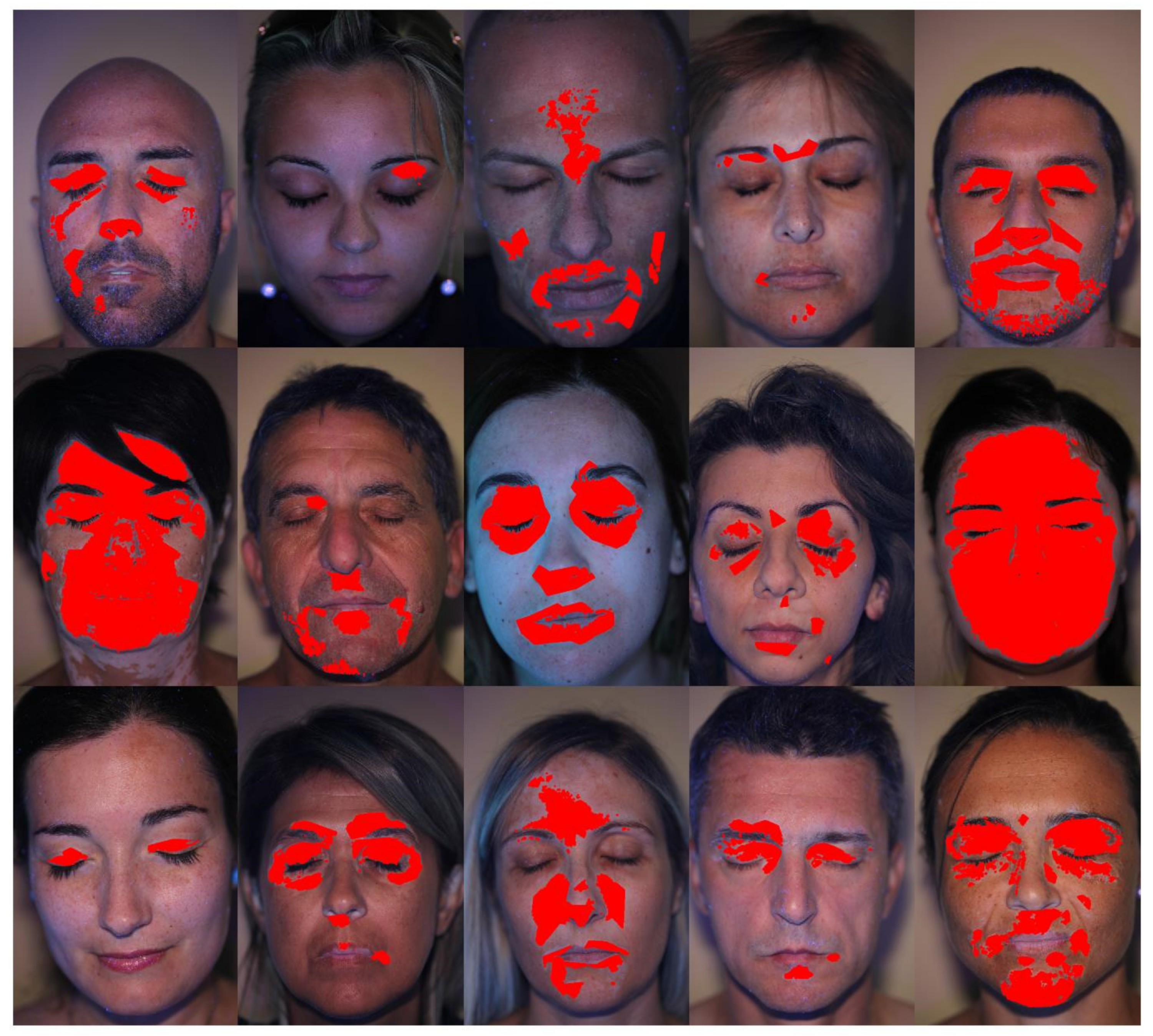 Jimaging 06 00014 g008