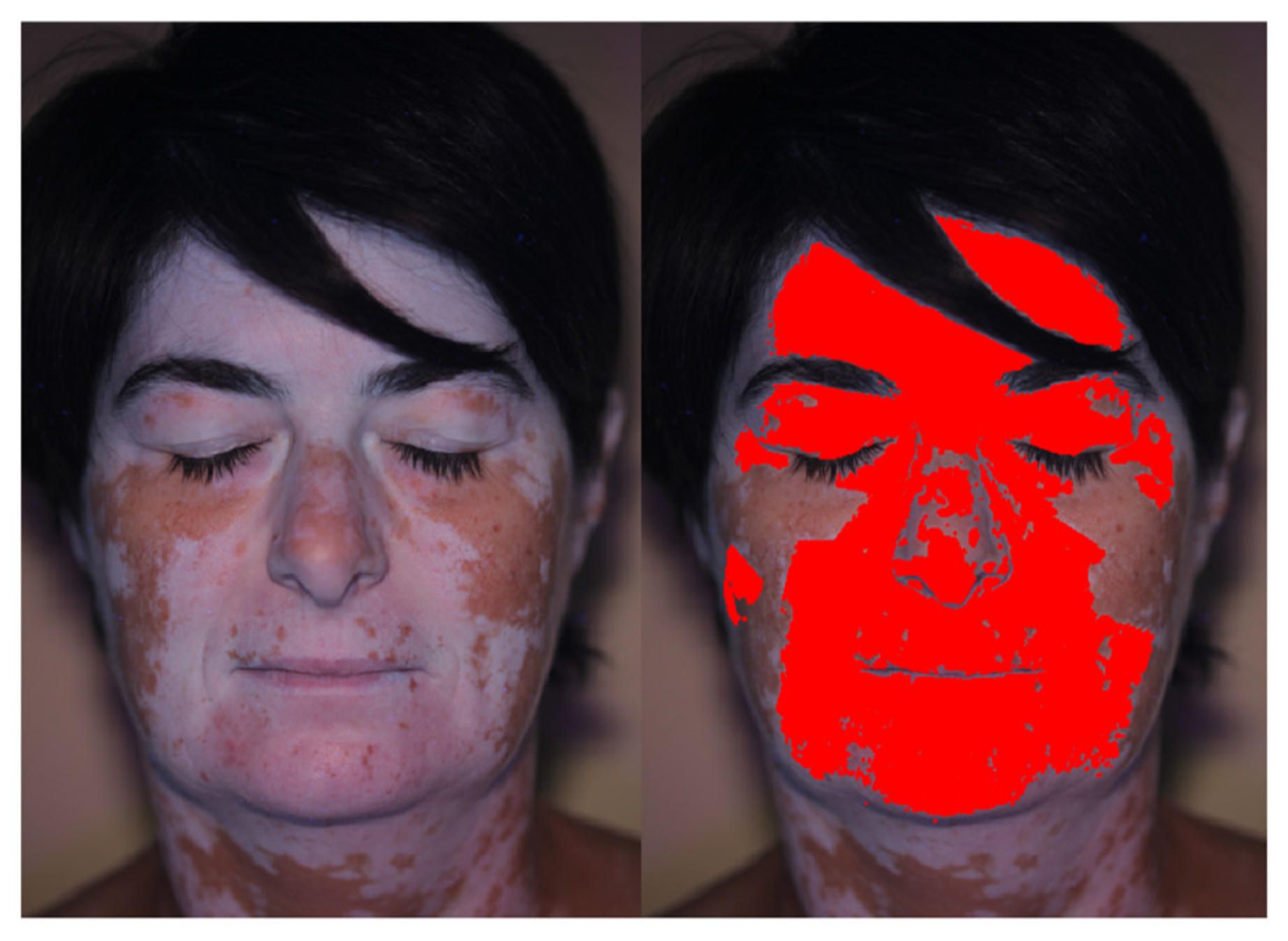 Jimaging 06 00014 g012