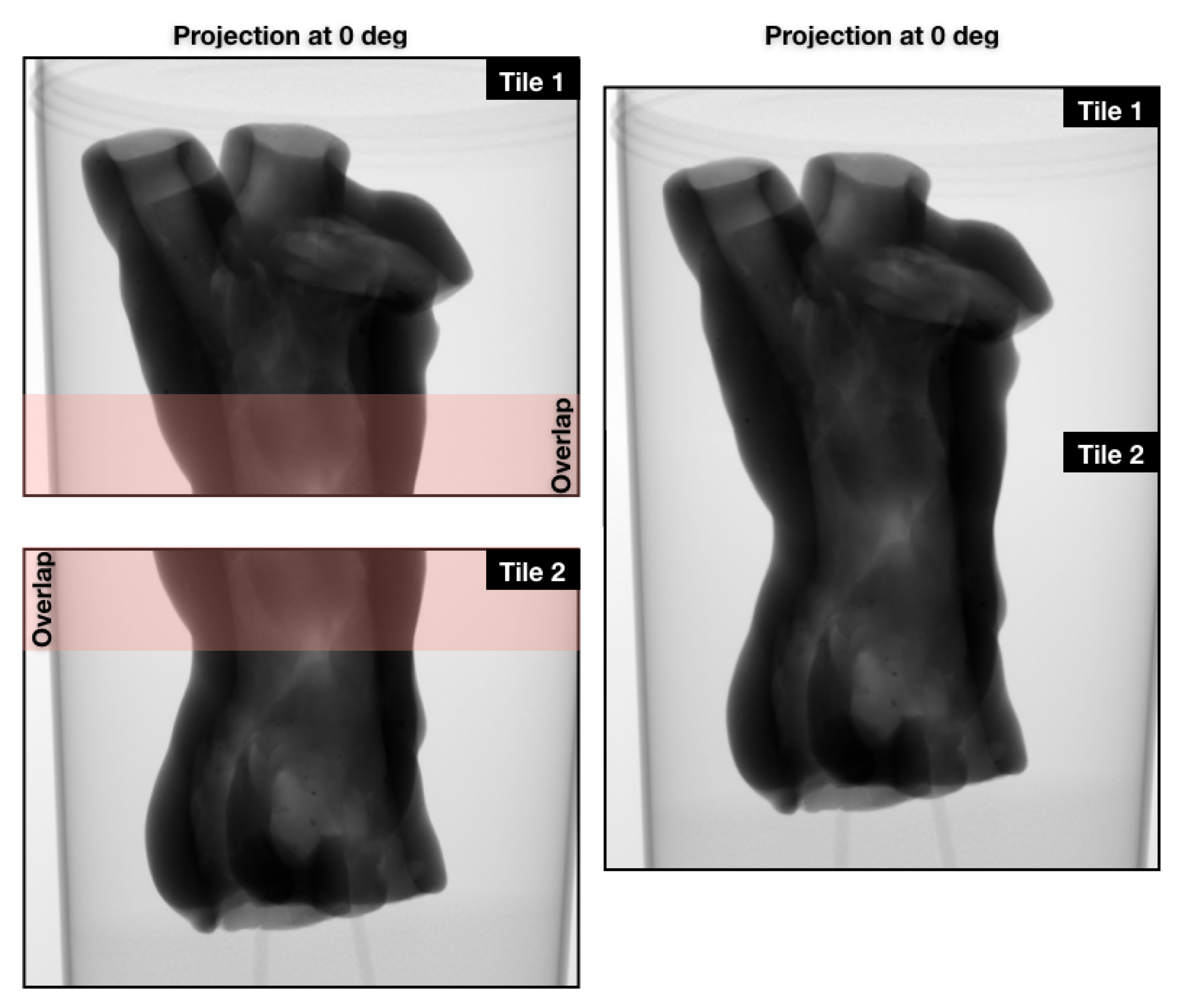 Jimaging 06 00018 g007