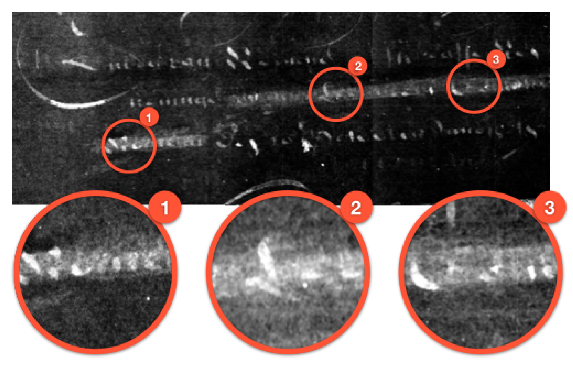 Jimaging 06 00018 g013