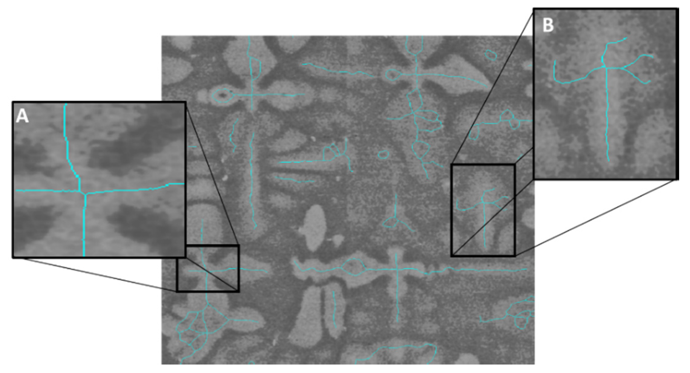 Jimaging 06 00019 g002