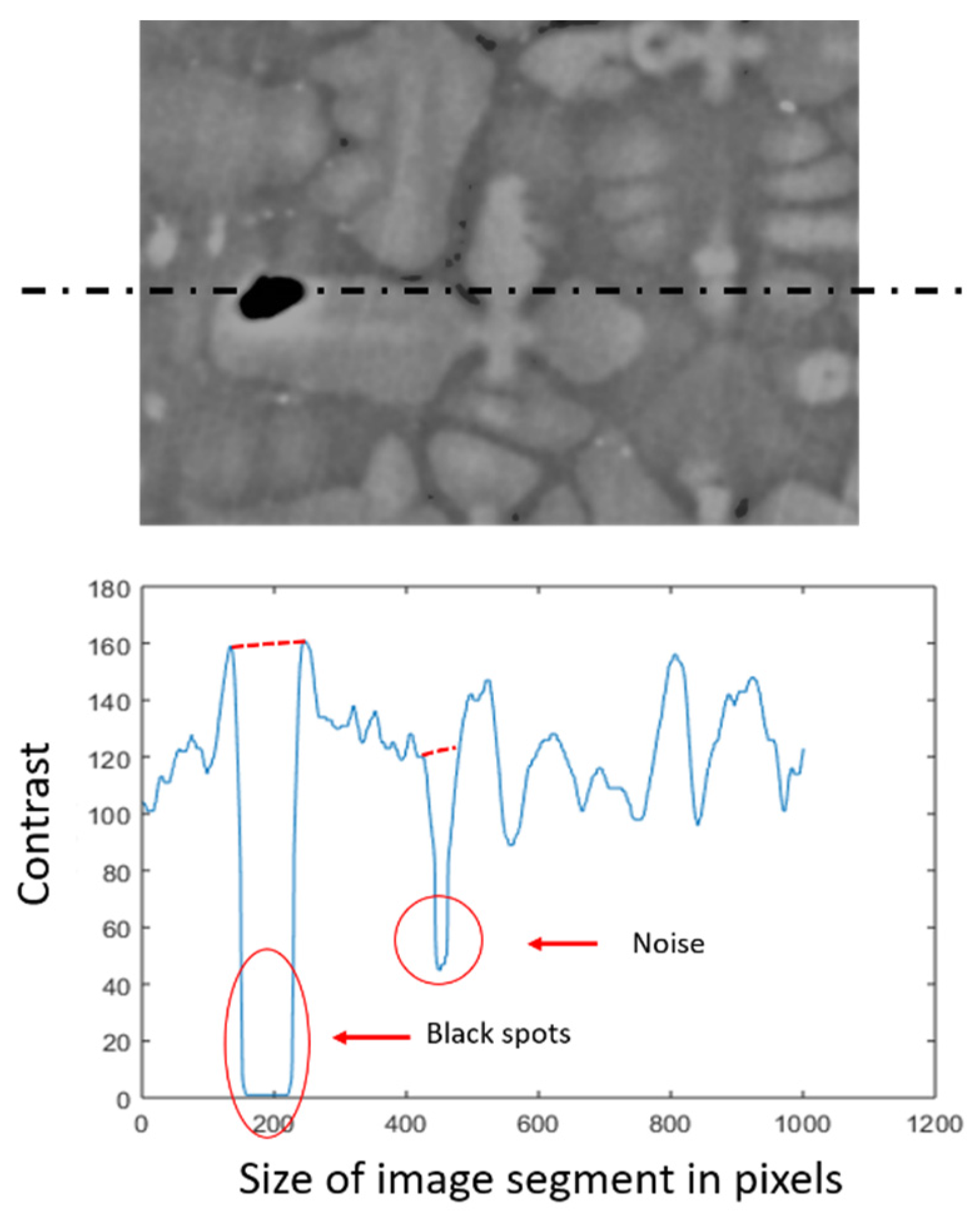 Jimaging 06 00019 g005