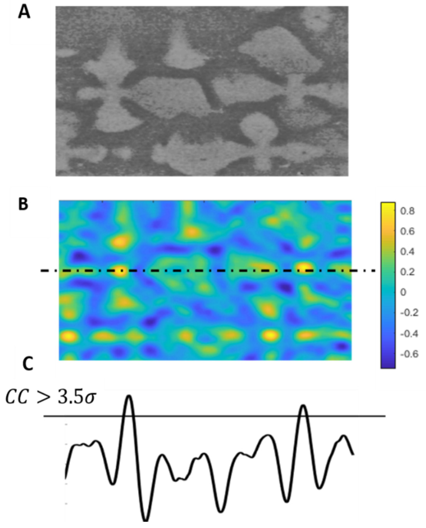 Jimaging 06 00019 g006