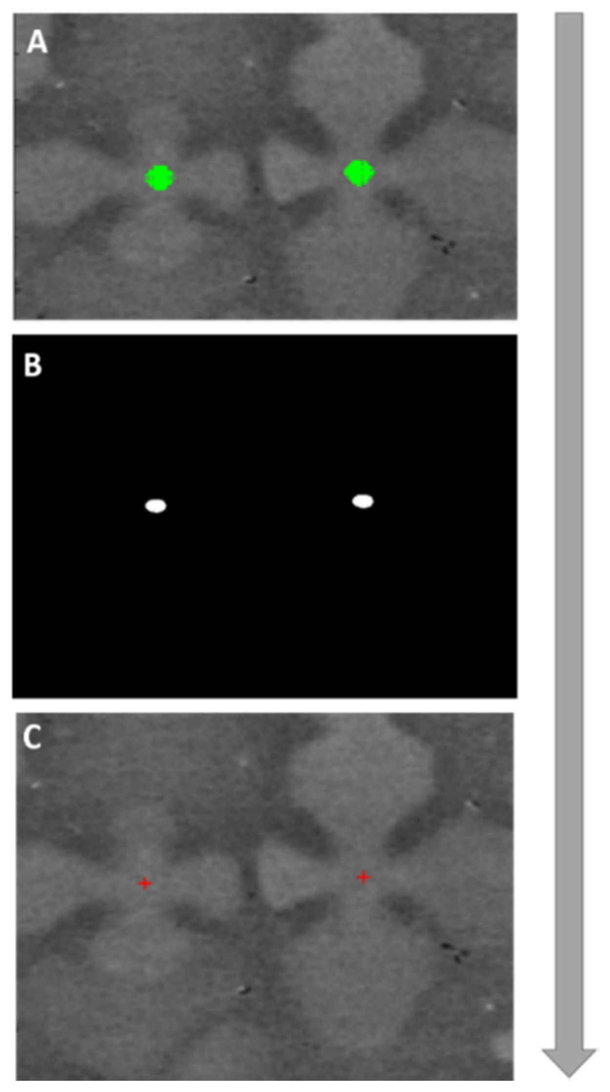 Jimaging 06 00019 g007