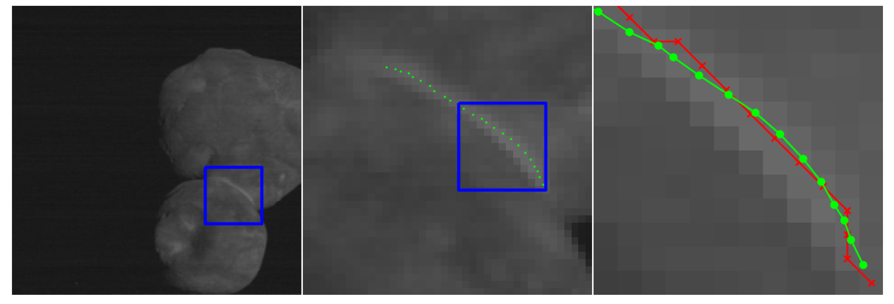 Jimaging 06 00033 g015