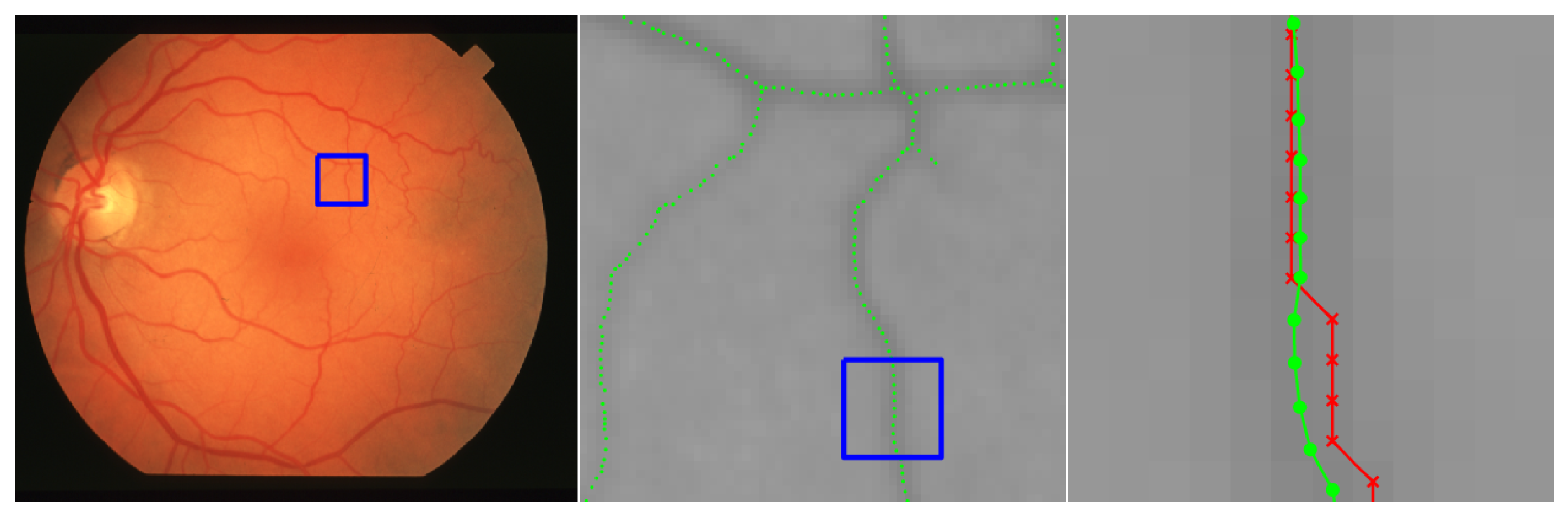 Jimaging 06 00033 g016