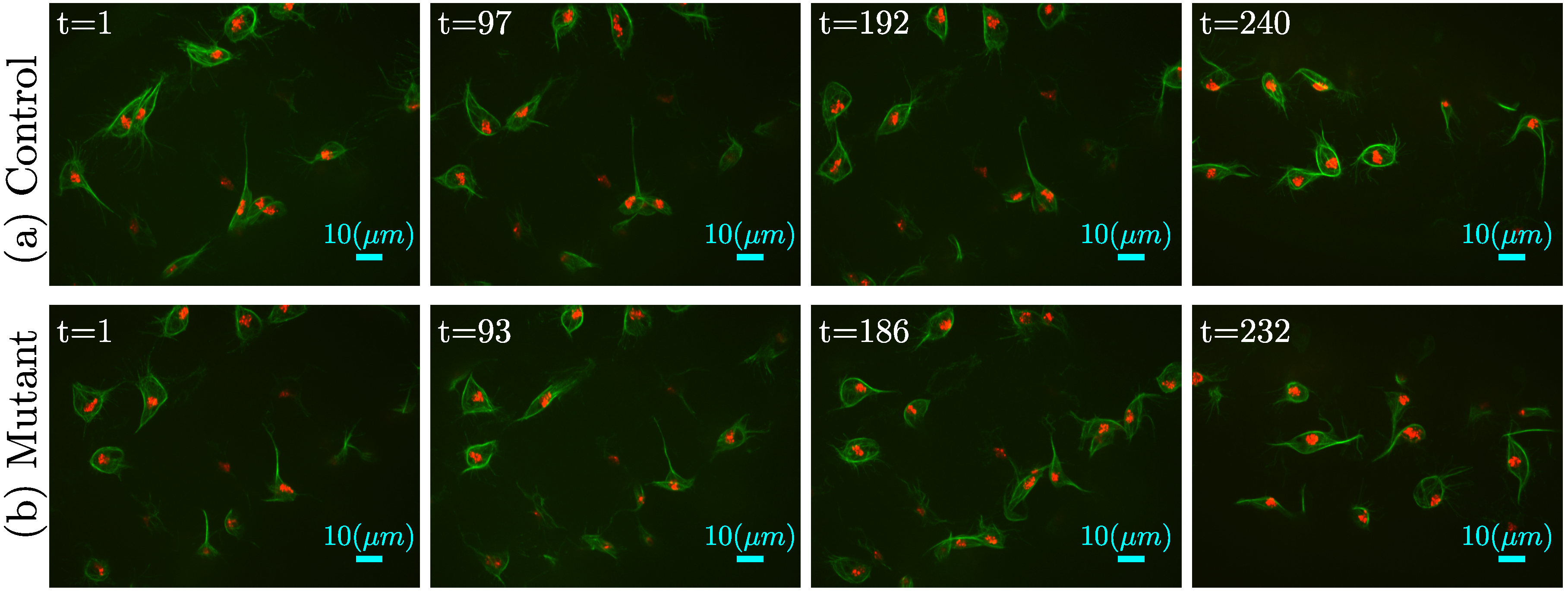 Jimaging 06 00036 g002