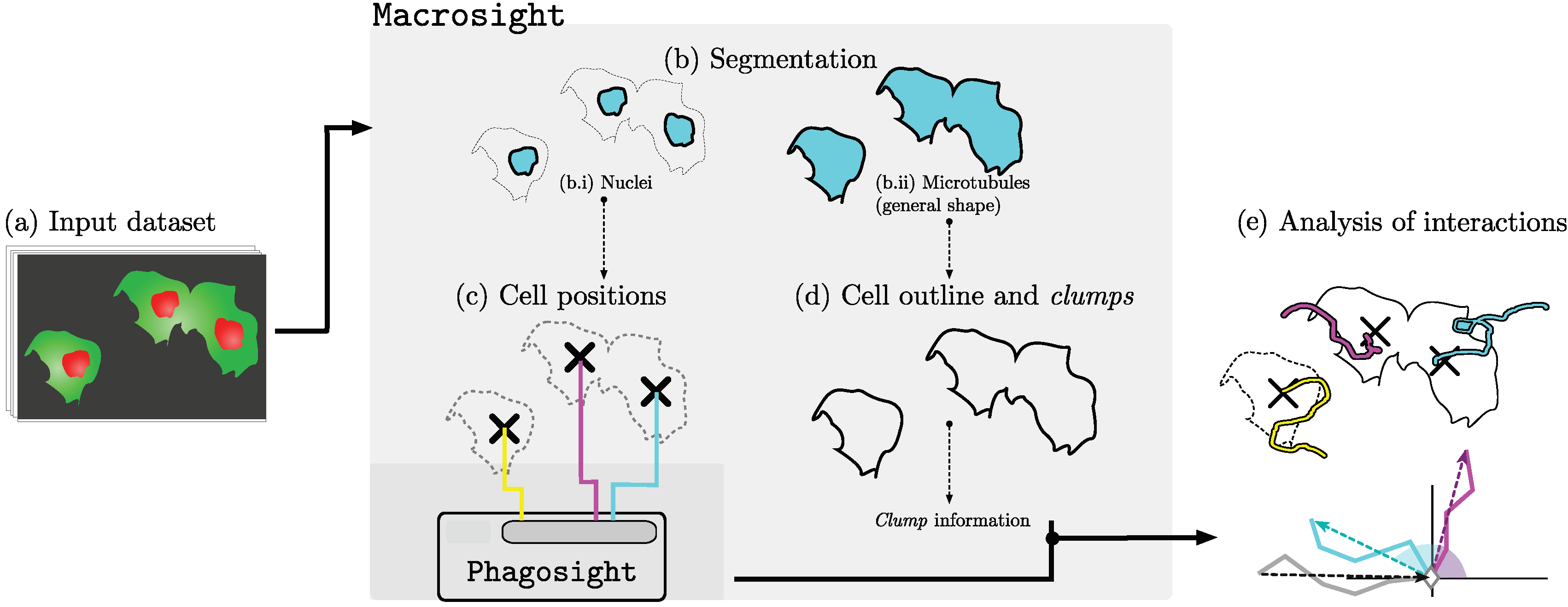 Jimaging 06 00036 g004