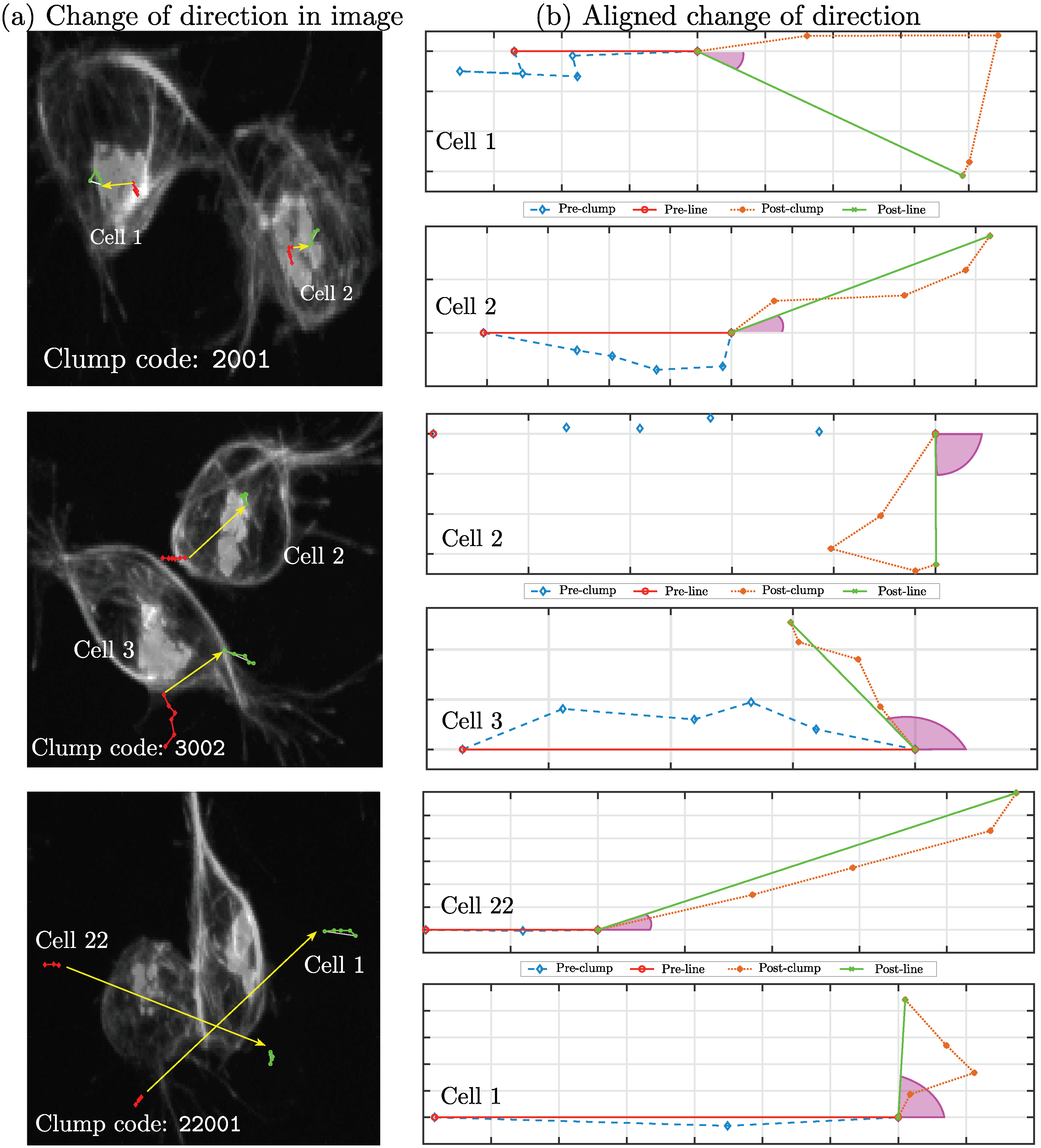 Jimaging 06 00036 g006