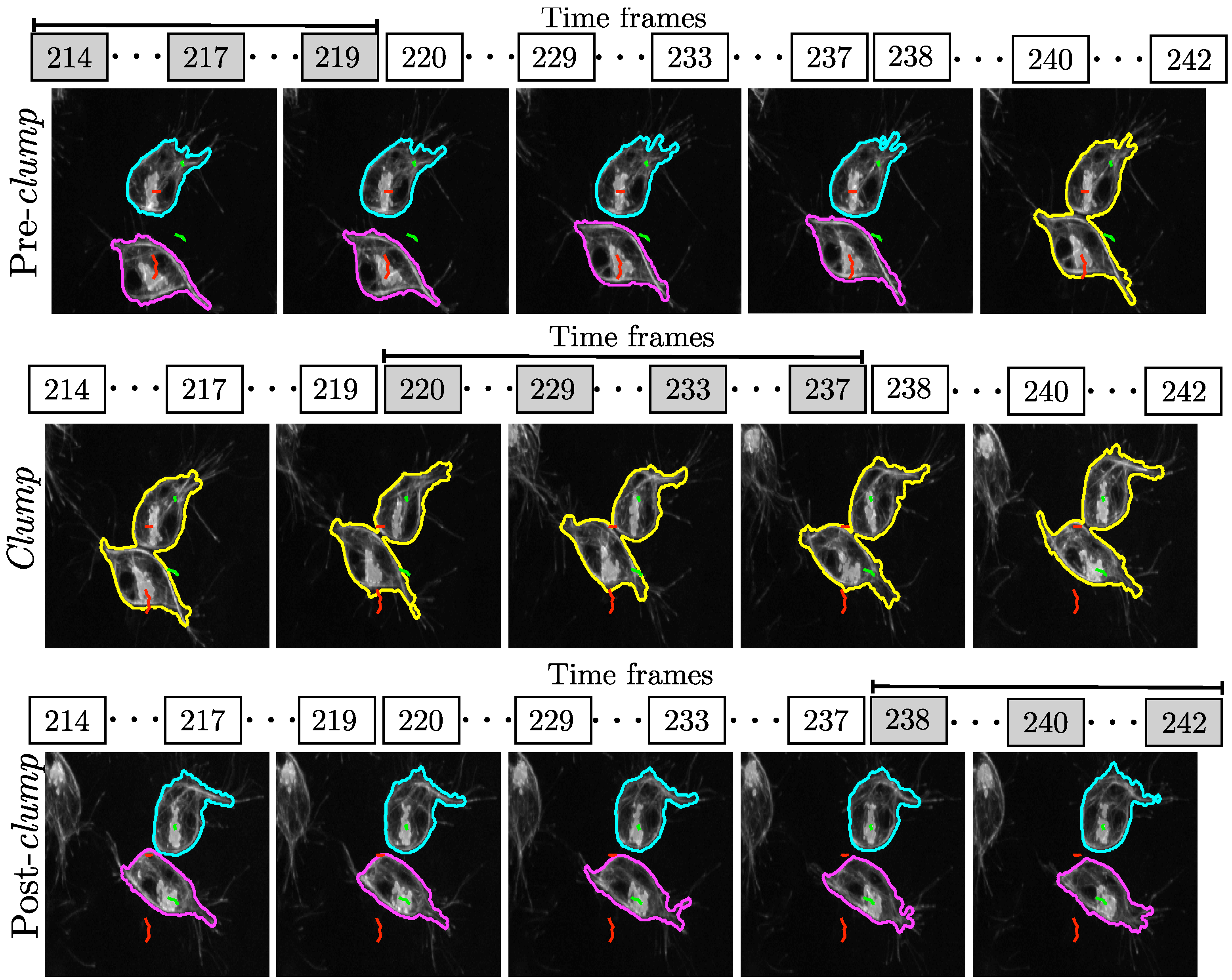 Jimaging 06 00036 g007