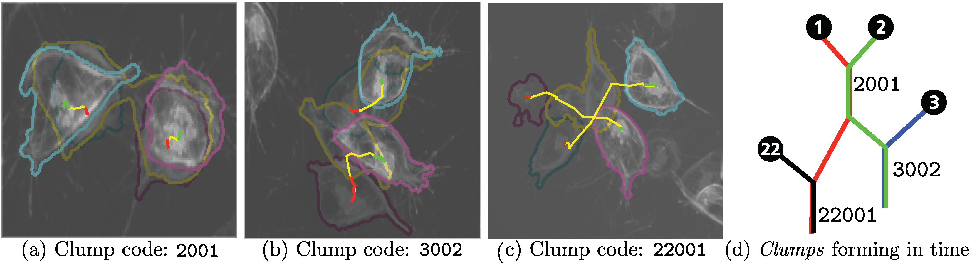 Jimaging 06 00036 g008