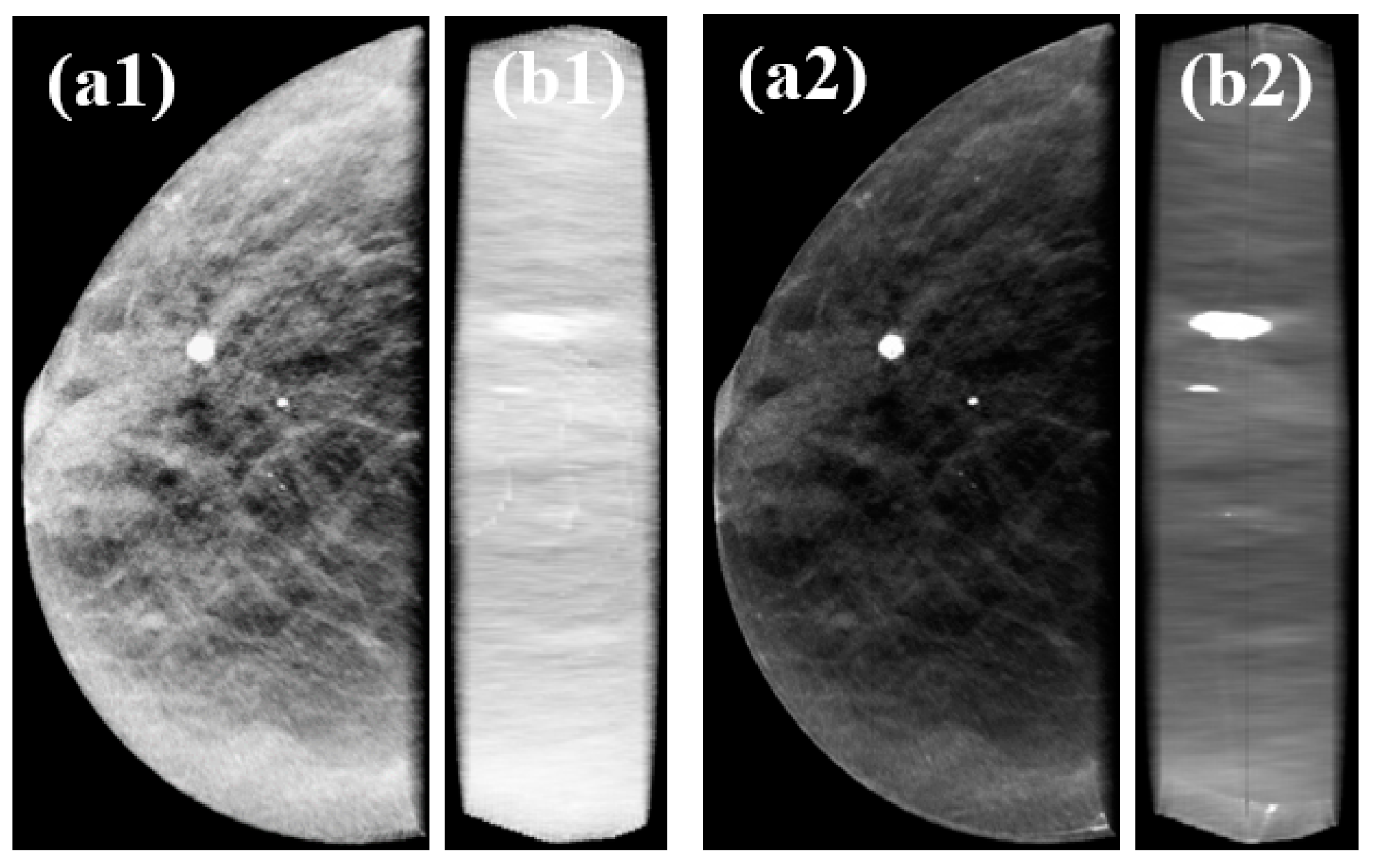 Jimaging 06 00064 g013