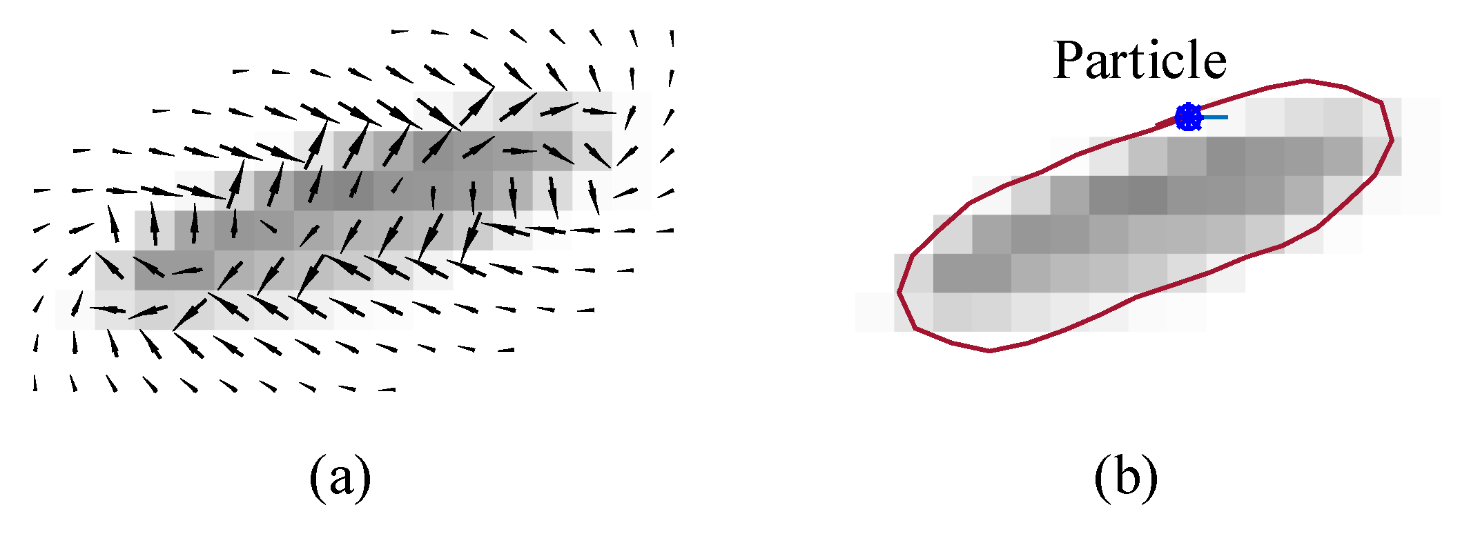 Jimaging 06 00072 g002 Jimaging 06 00072 g002