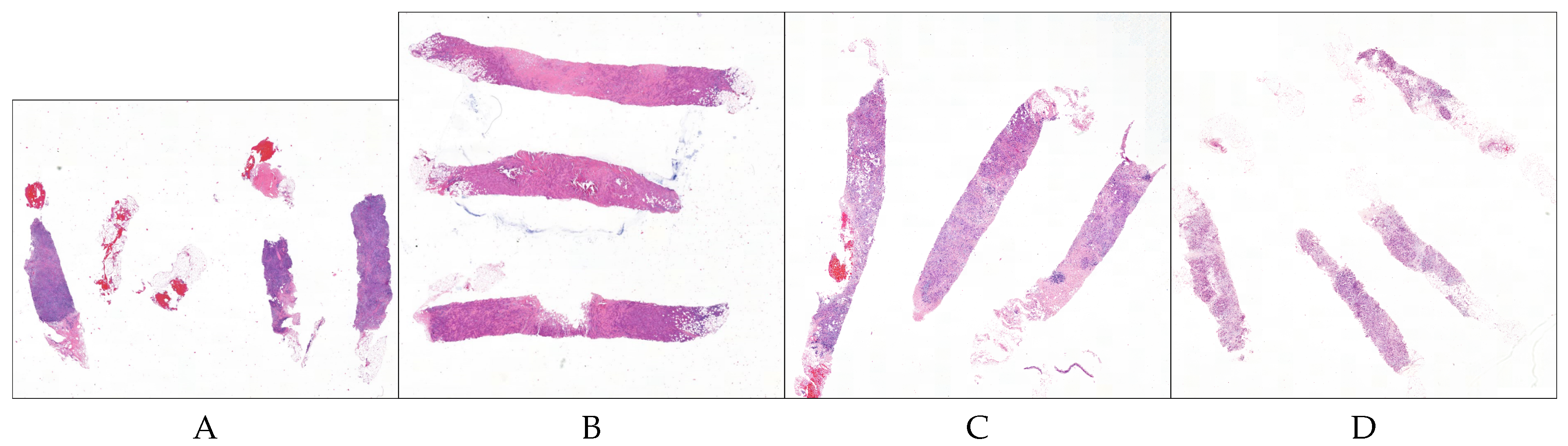 Jimaging 06 00082 g001