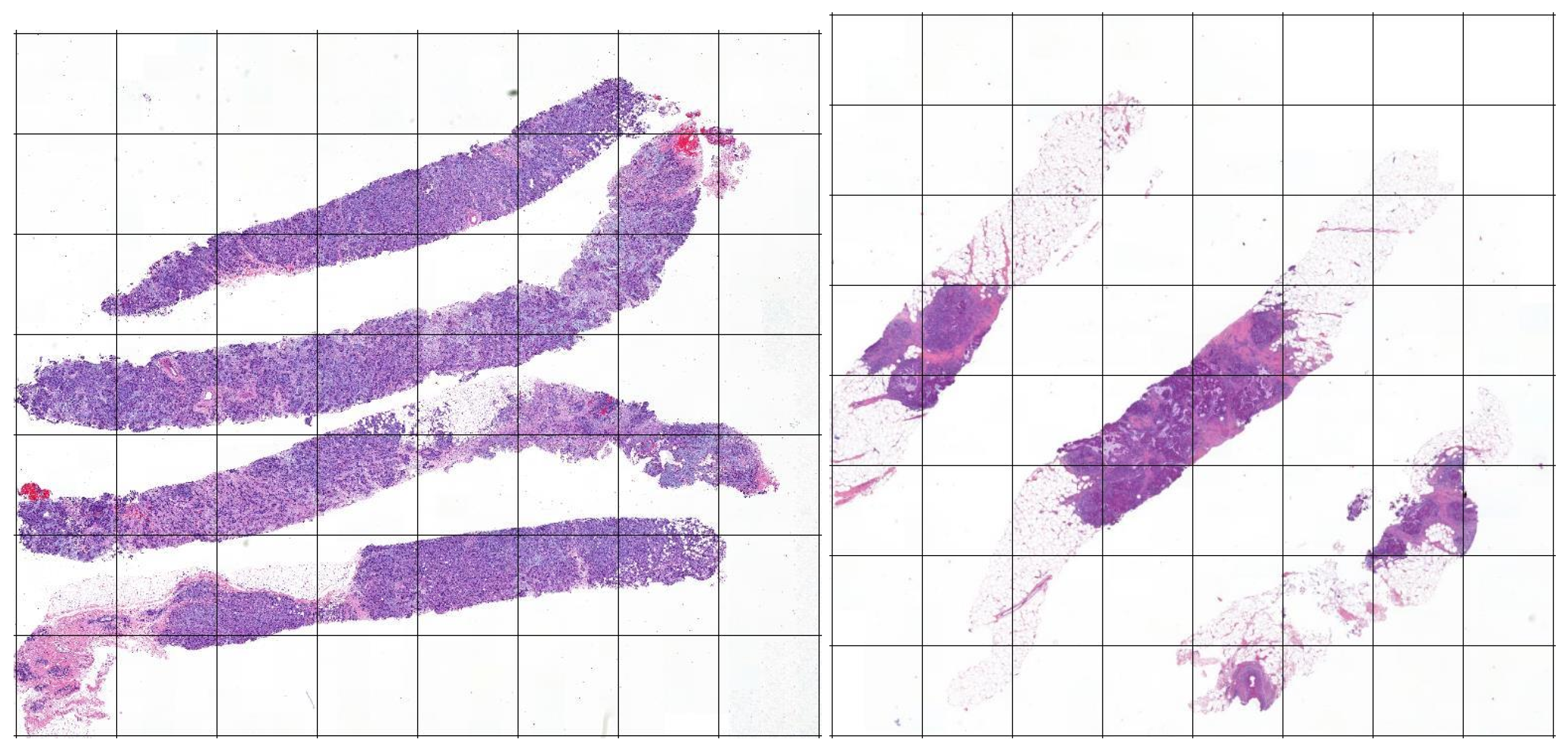 Jimaging 06 00082 g003