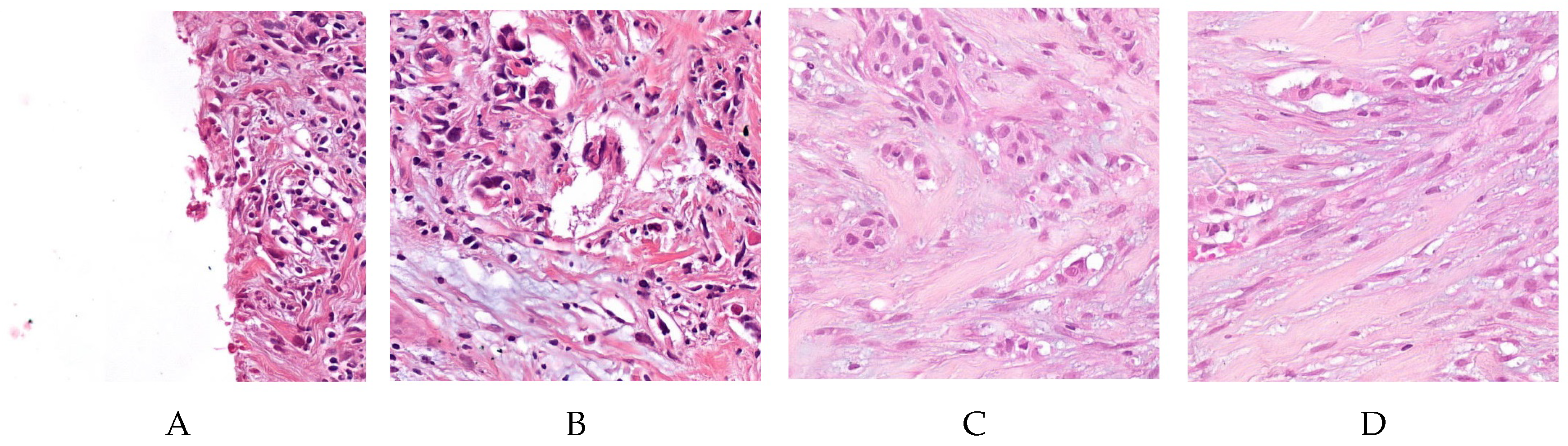 Jimaging 06 00082 g004