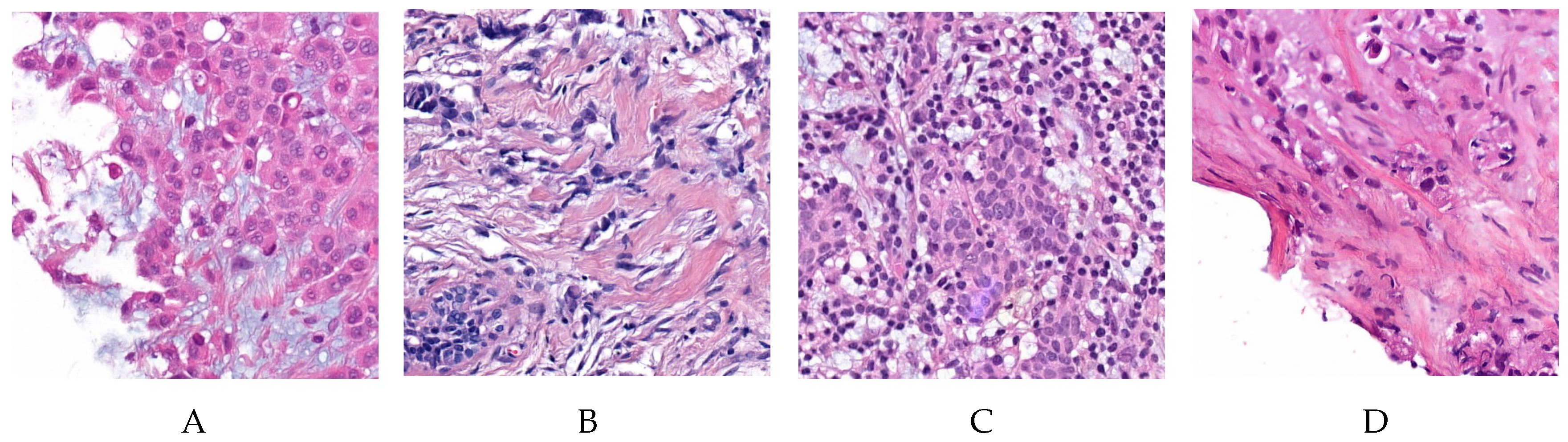 Jimaging 06 00082 g006