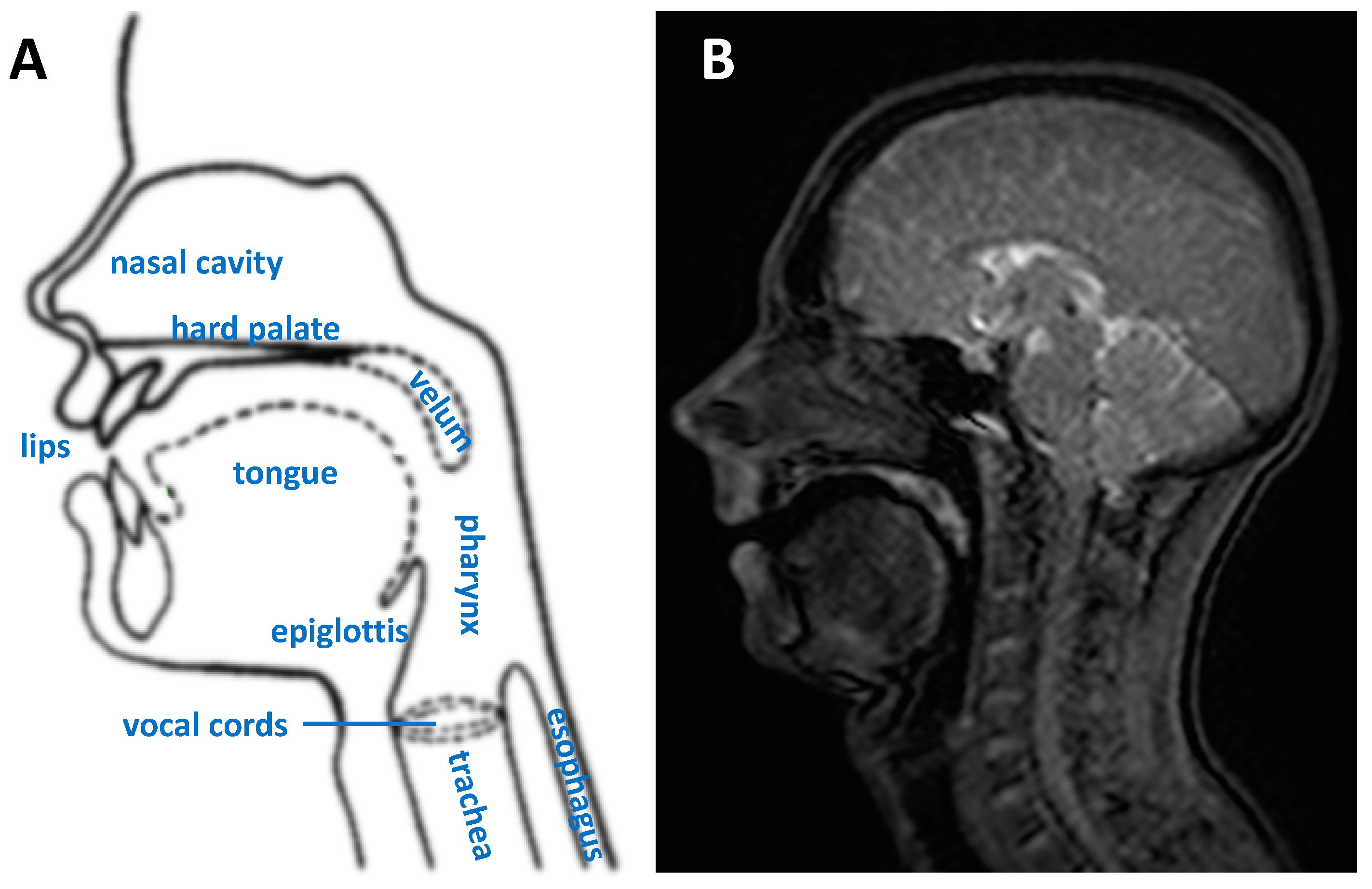 Jimaging 06 00086 g001