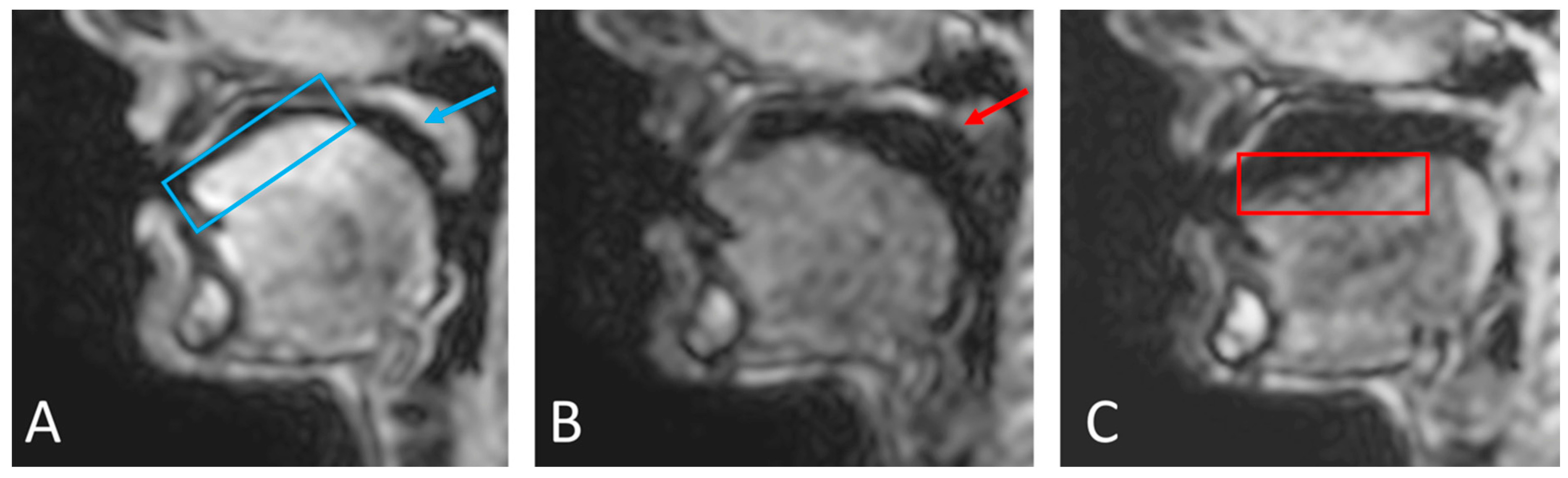 Jimaging 06 00086 g006