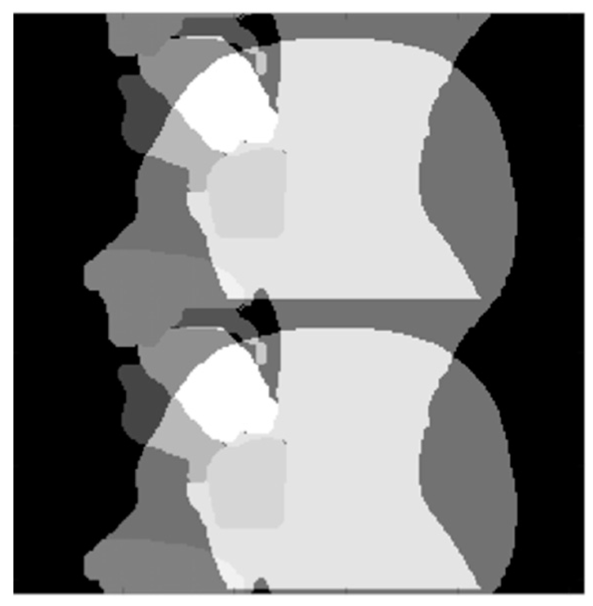 Jimaging 06 00086 g010