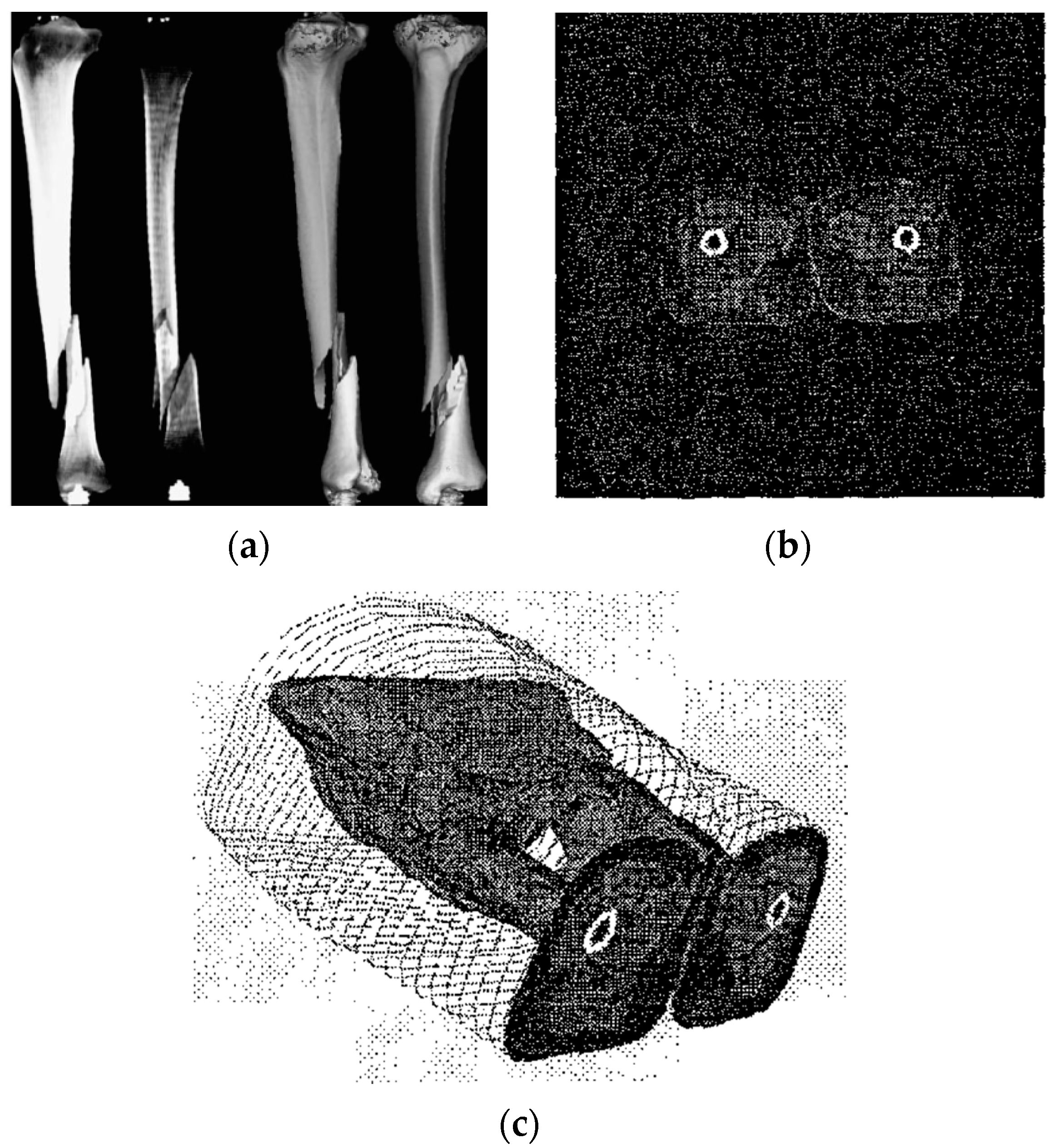 Jimaging 06 00088 g001