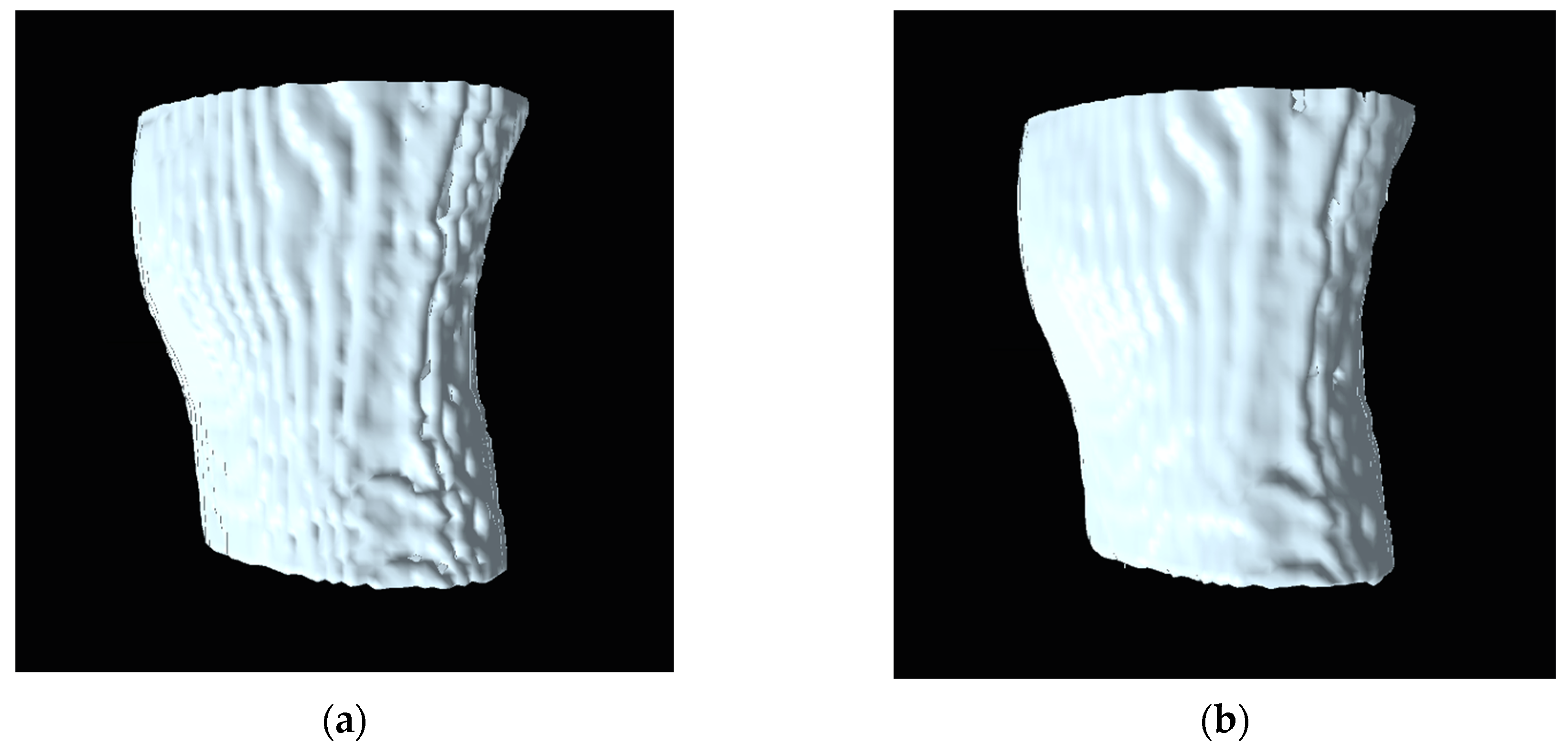 Jimaging 06 00088 g013