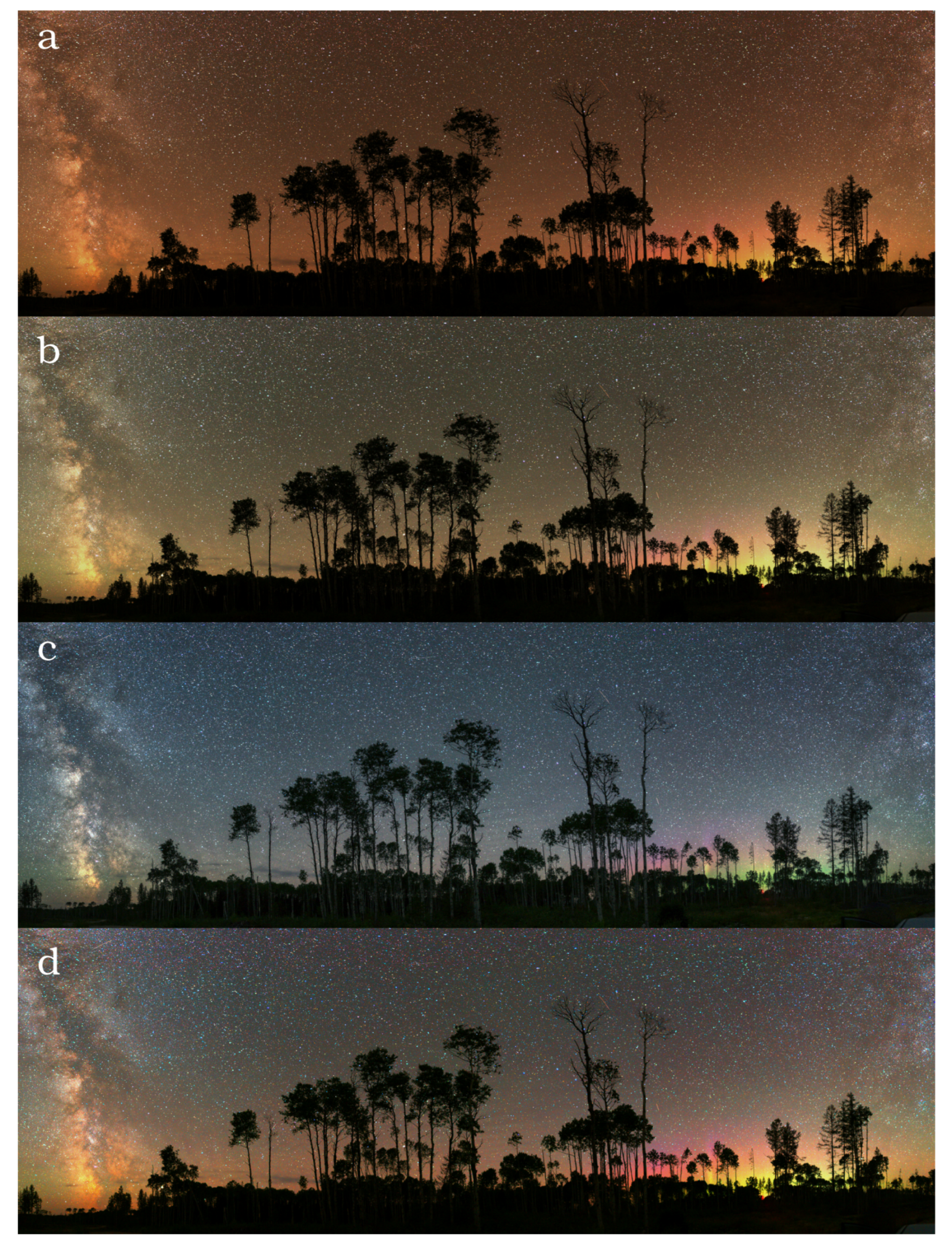 Jimaging 06 00090 g008