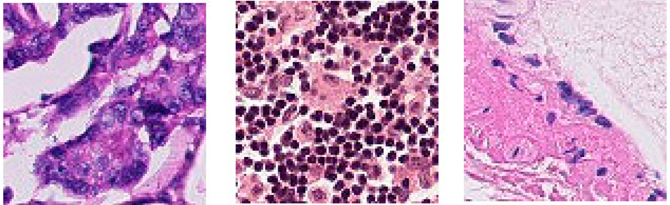 Jimaging 06 00092 g001