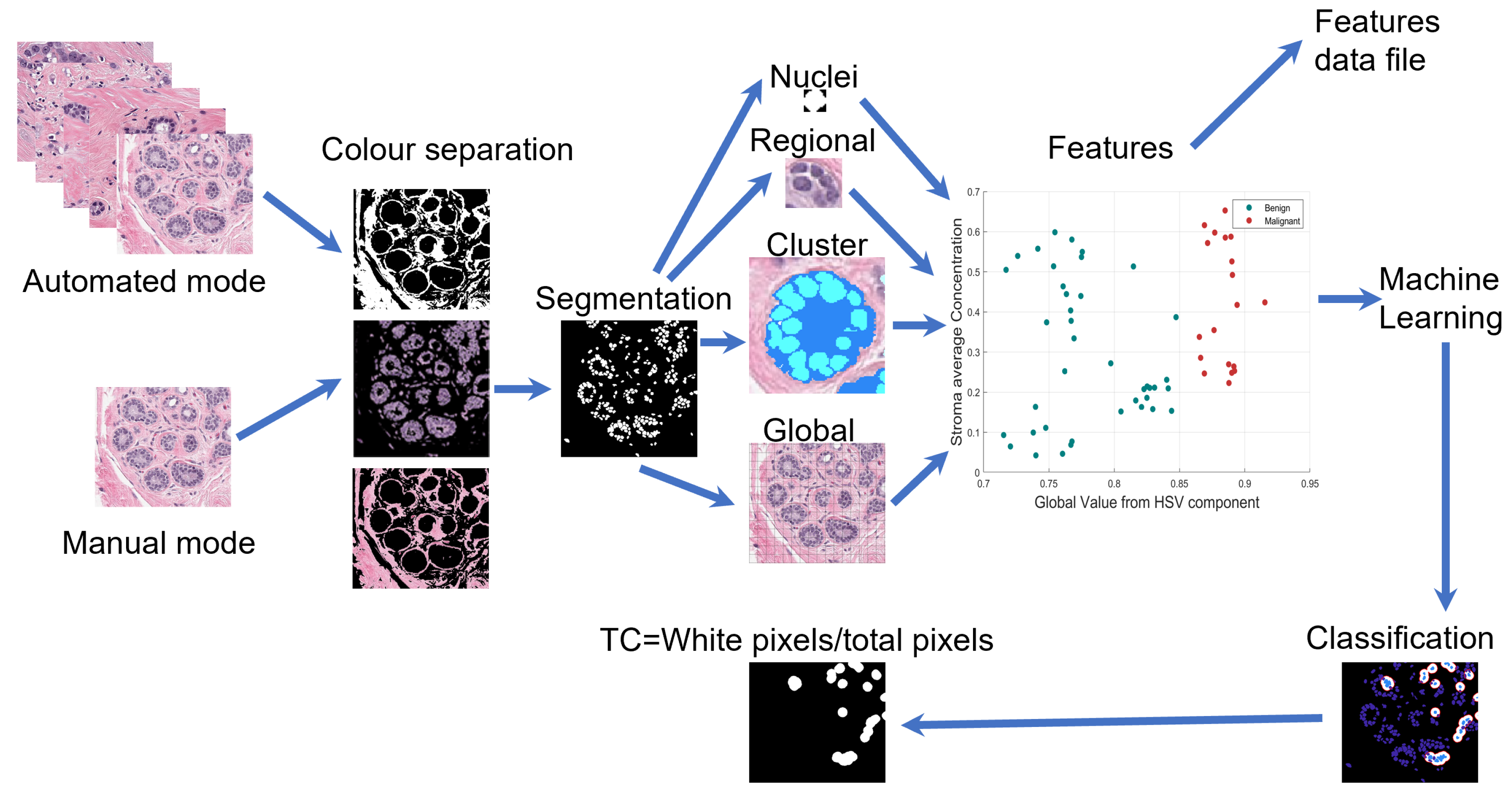 Jimaging 06 00101 g003