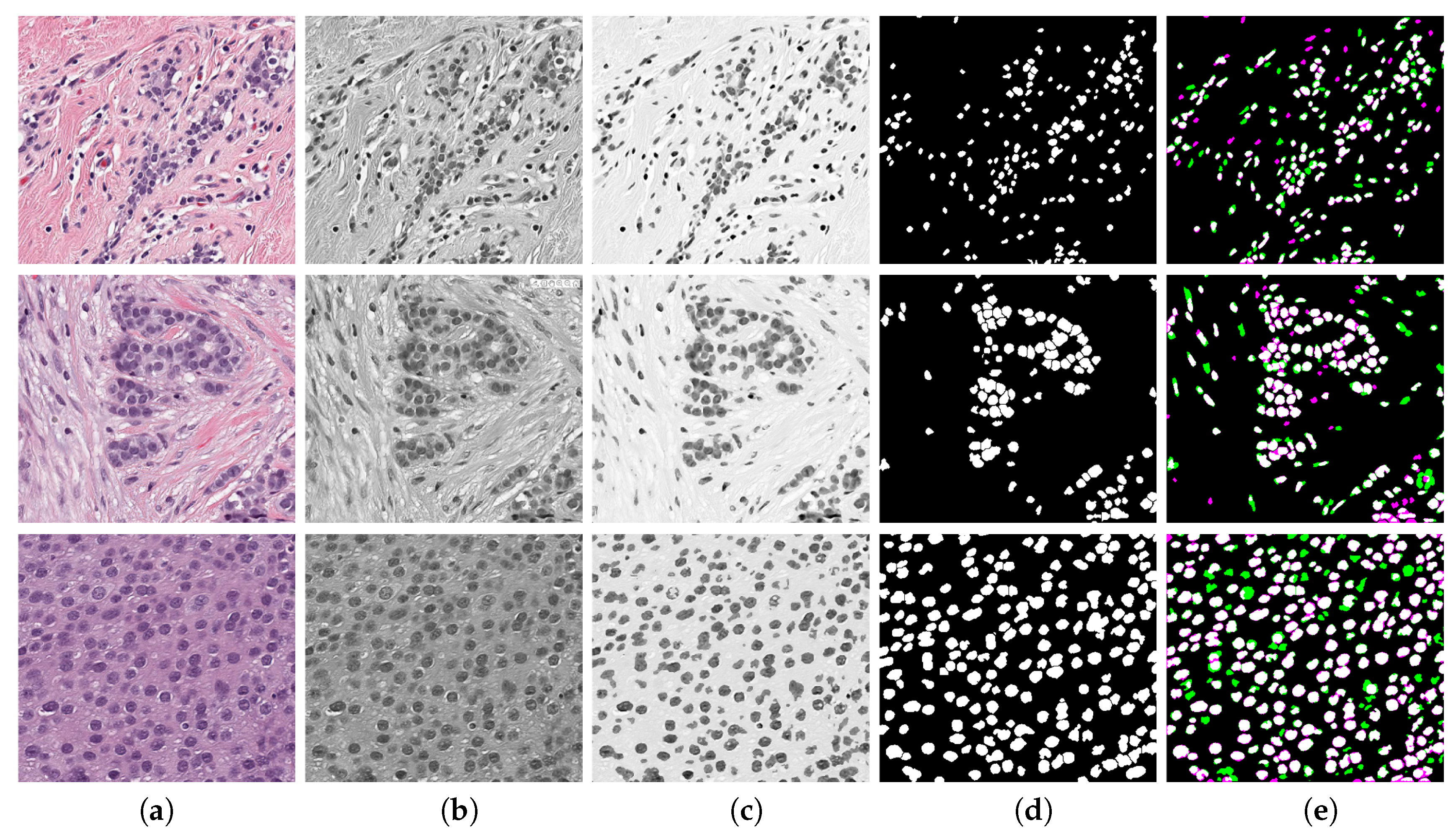 Jimaging 06 00101 g004