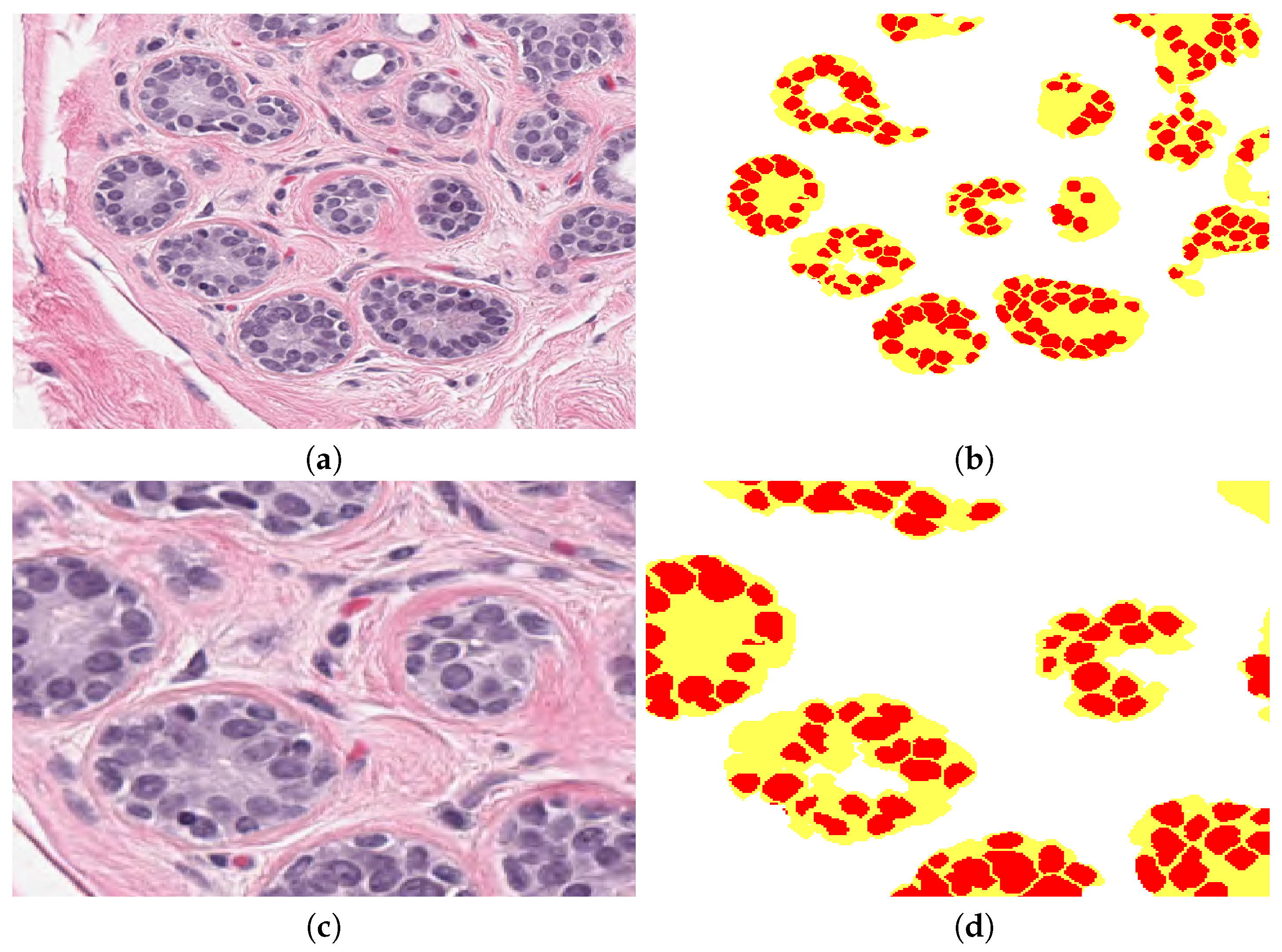 Jimaging 06 00101 g006