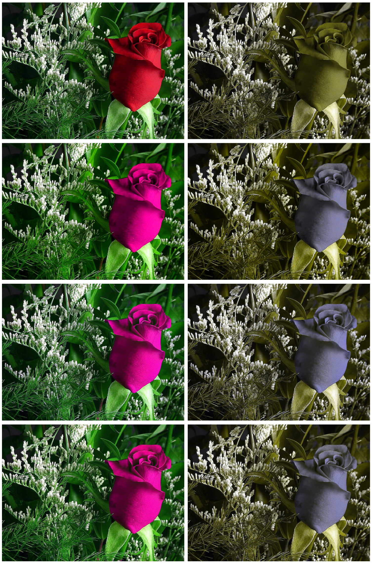 Jimaging 06 00116 g002