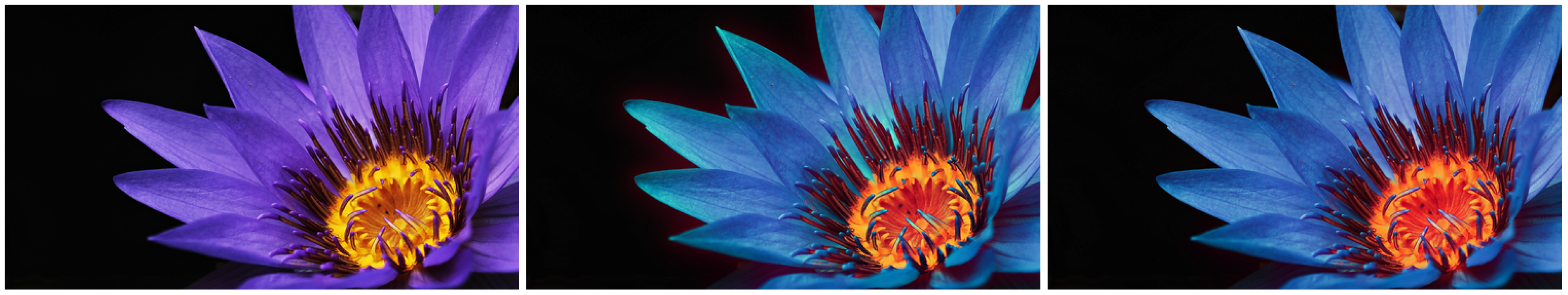 Jimaging 06 00116 g005