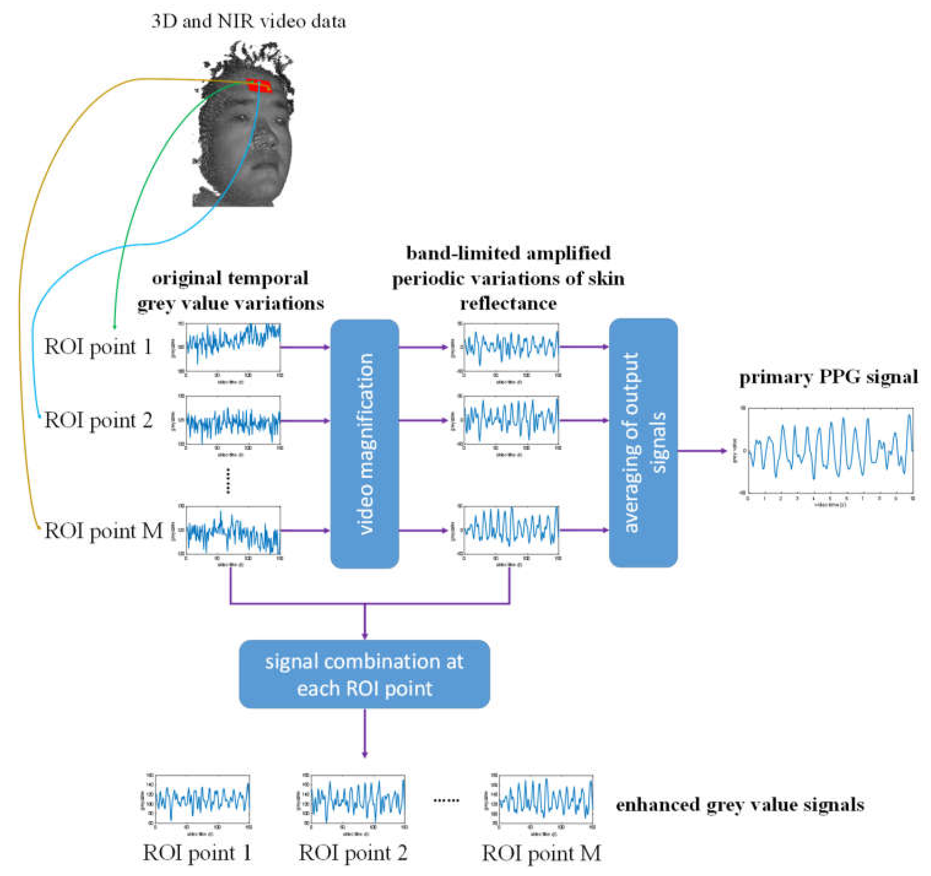 Jimaging 06 00123 g007 Jimaging 06 00123 g007