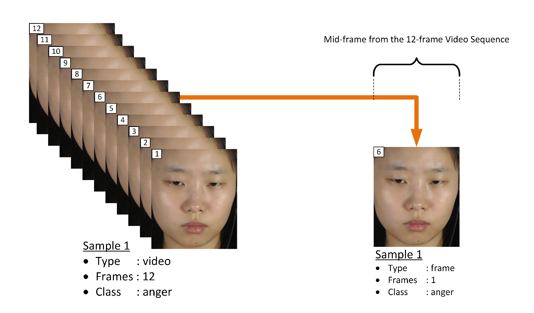 Jimaging 06 00130 g004 Jimaging 06 00130 g004