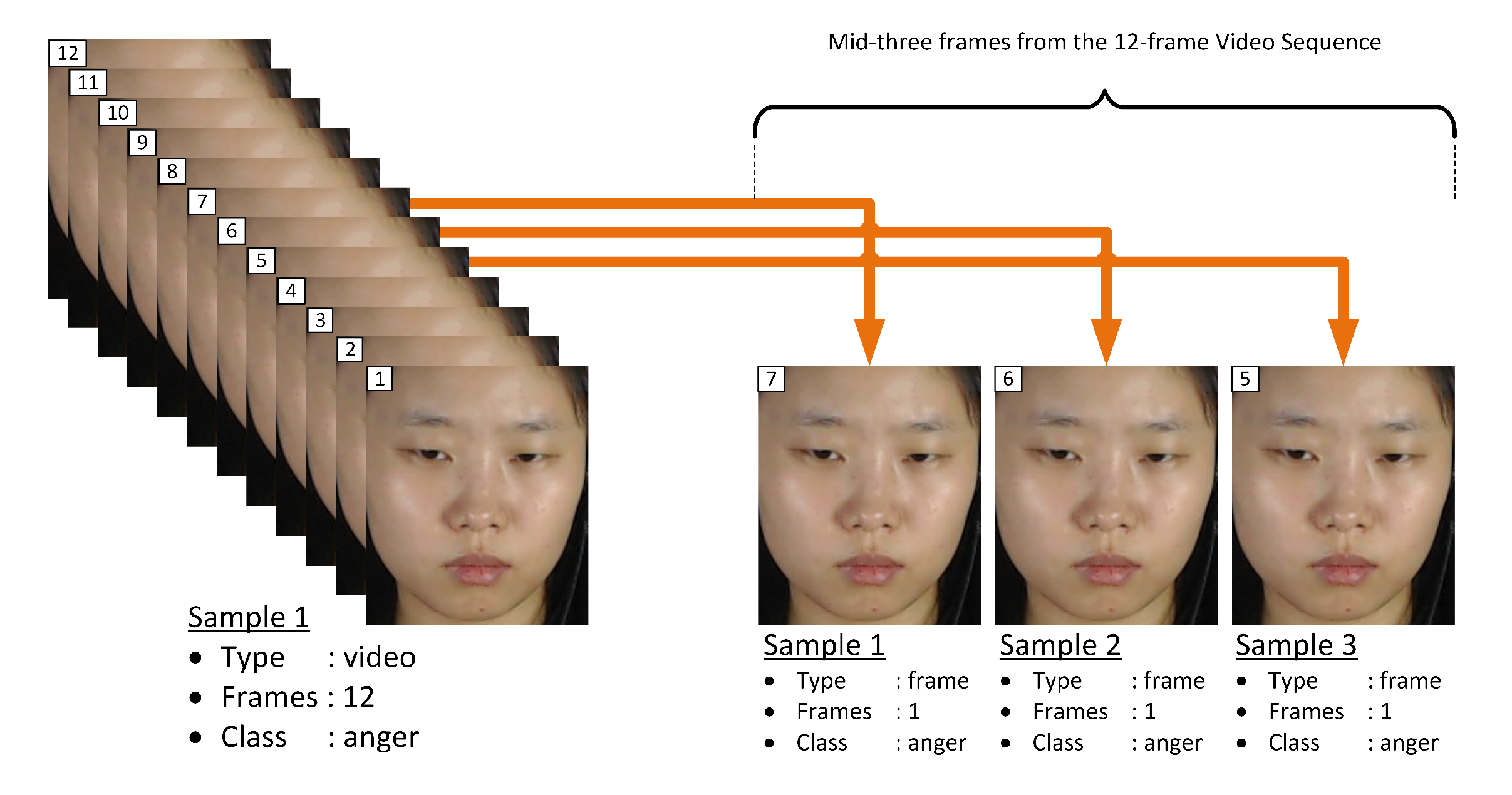 Jimaging 06 00130 g005 Jimaging 06 00130 g005