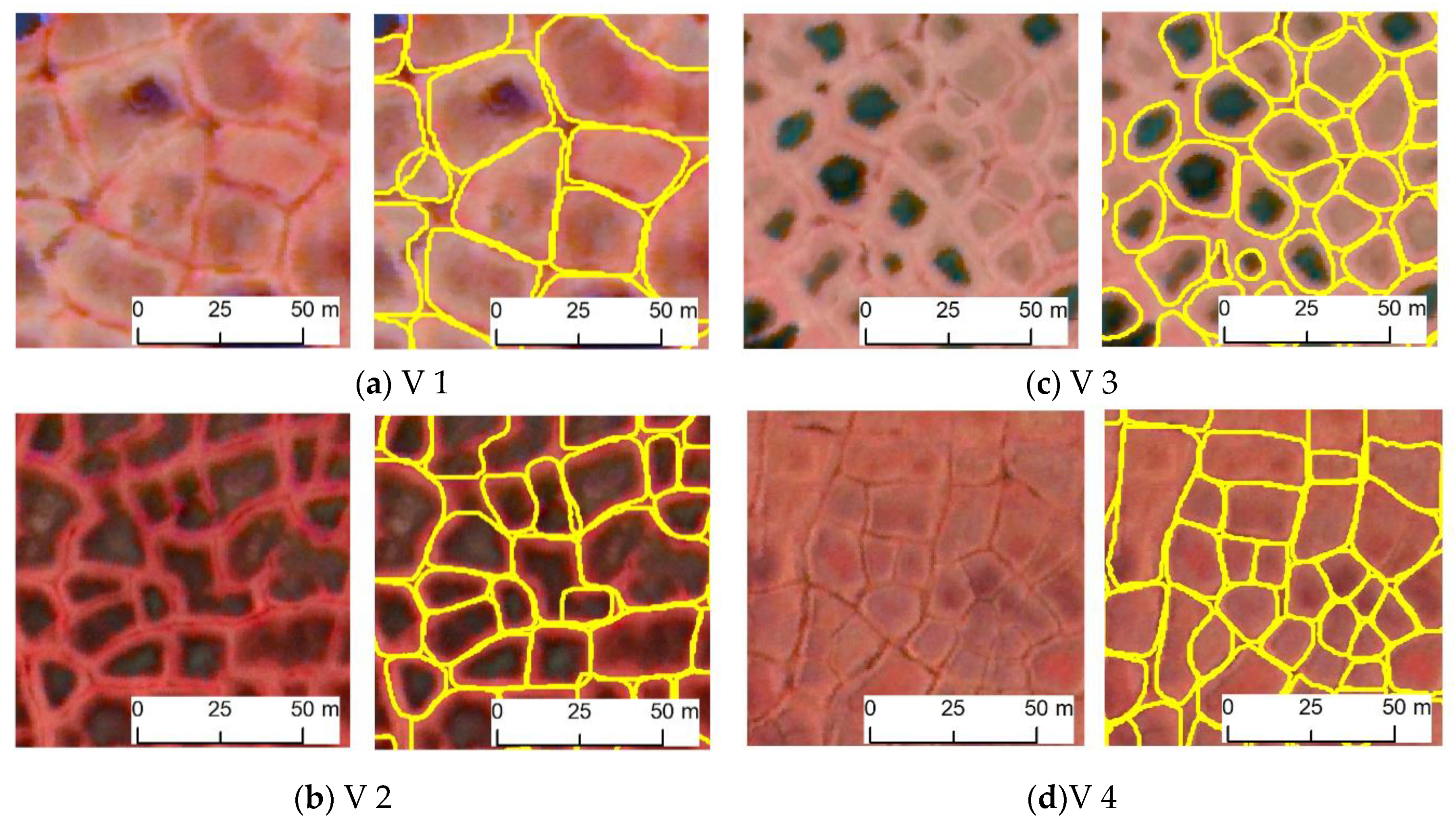 Jimaging 06 00137 g005