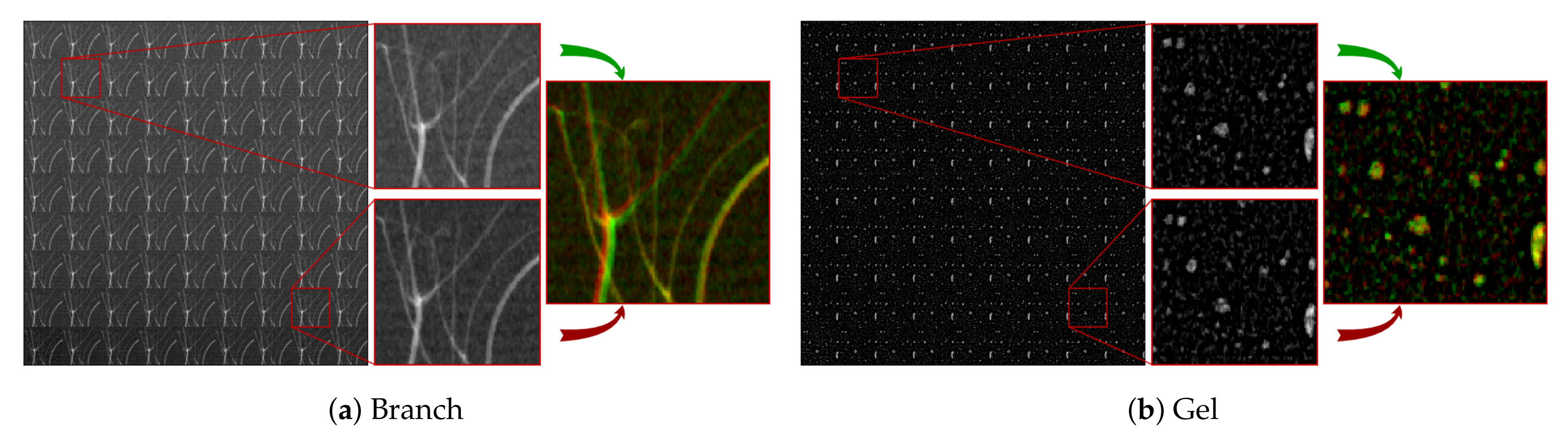 Jimaging 06 00138 g008