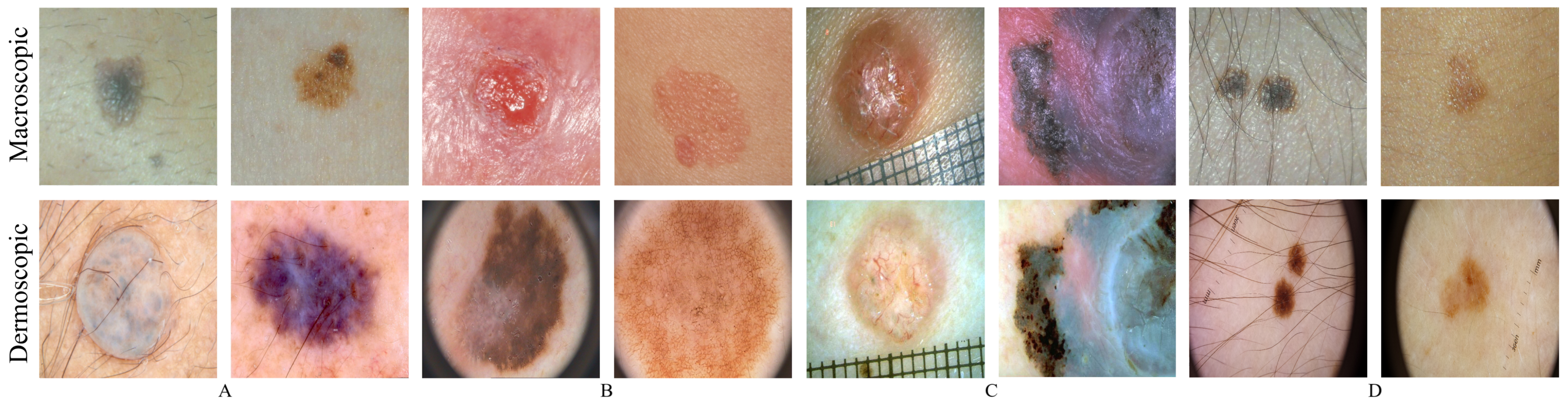 Jimaging 07 00002 g001