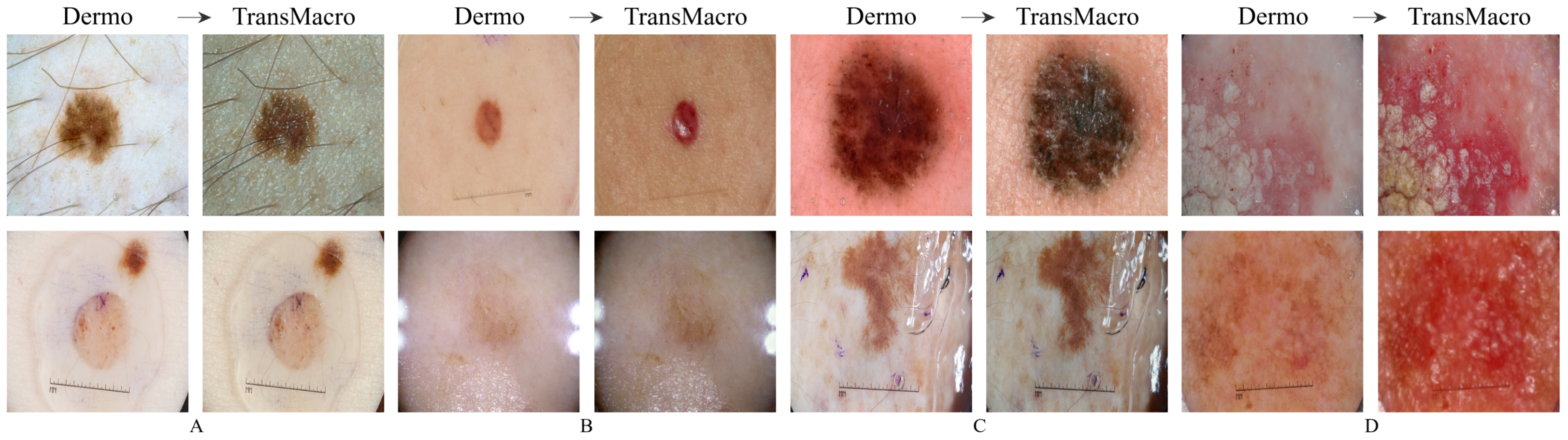 Jimaging 07 00002 g004