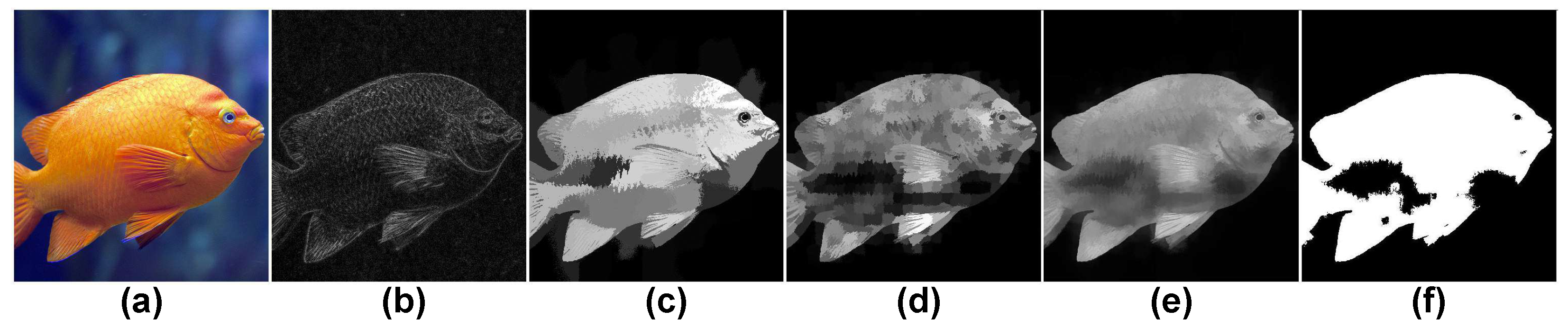 Jimaging 07 00003 g006