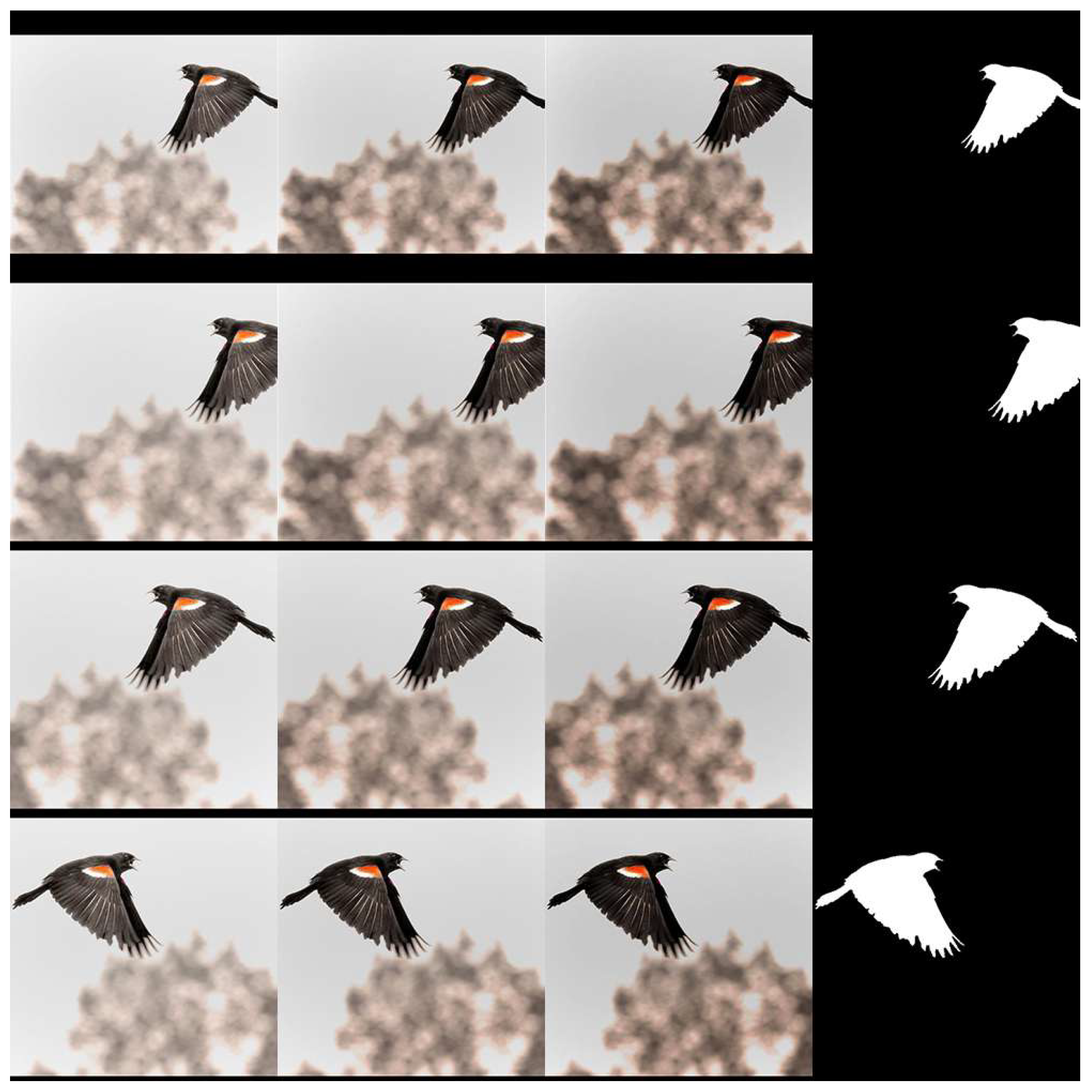 Jimaging 07 00003 g010