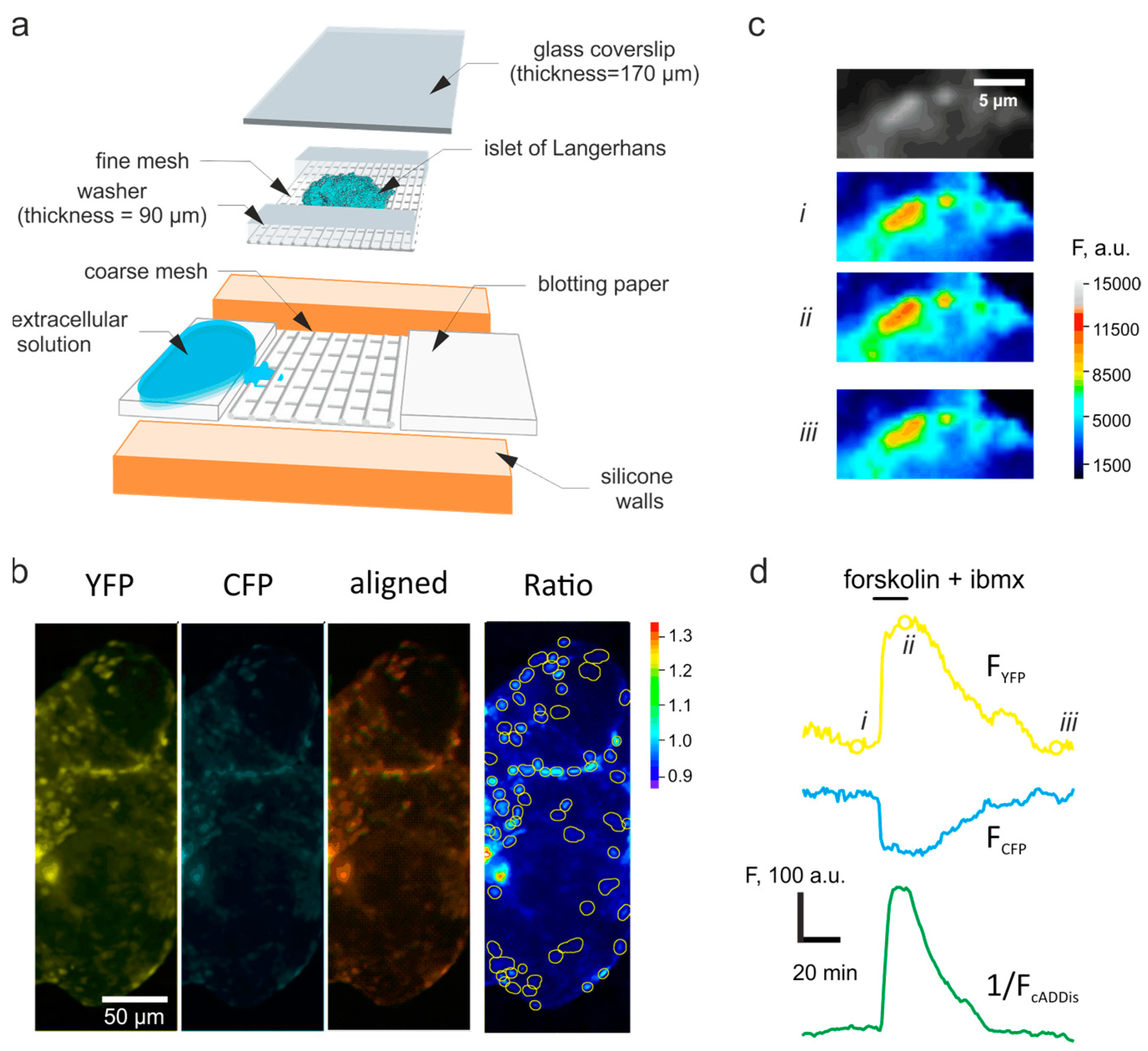 Jimaging 07 00009 g001 Jimaging 07 00009 g001