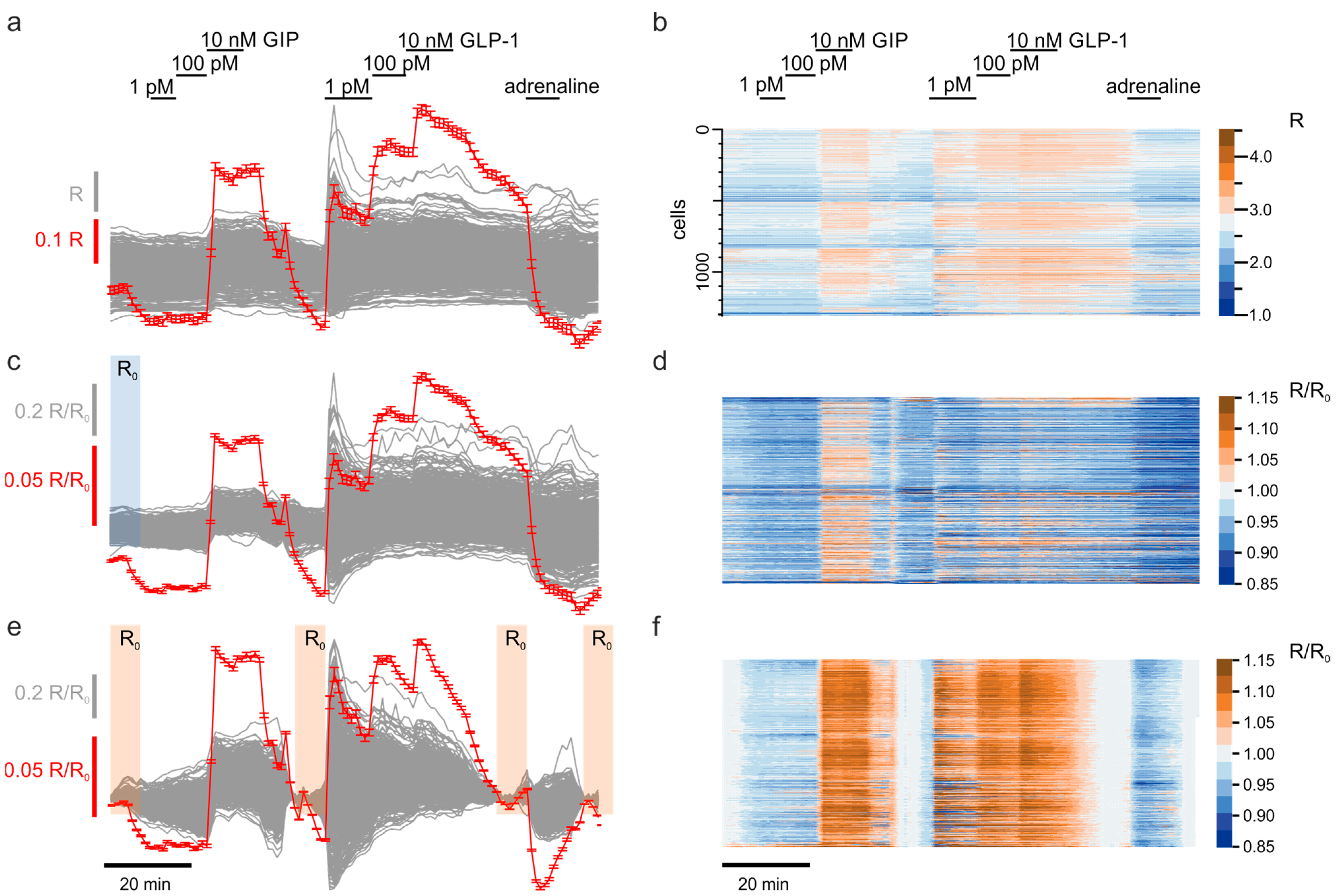 Jimaging 07 00009 g002 Jimaging 07 00009 g002