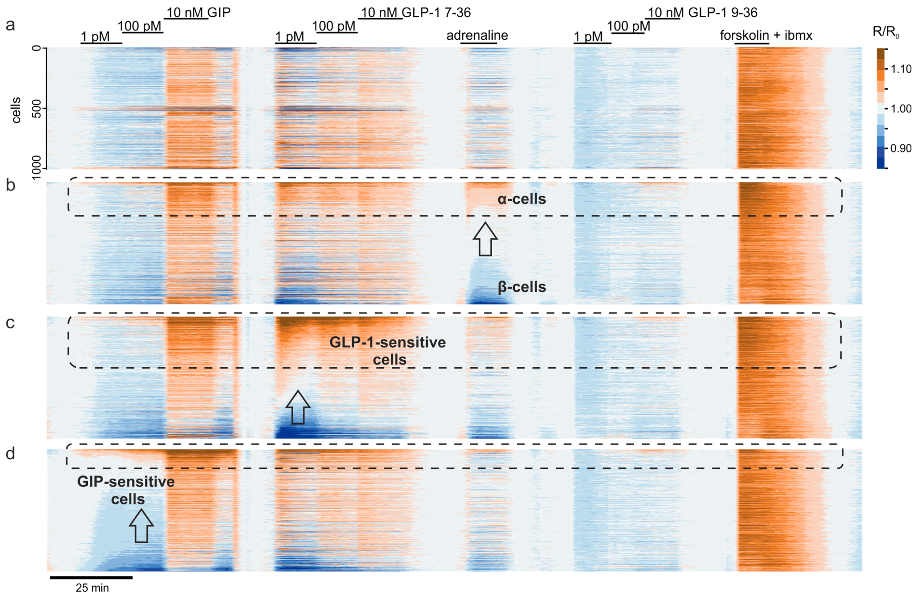 Jimaging 07 00009 g003 Jimaging 07 00009 g003